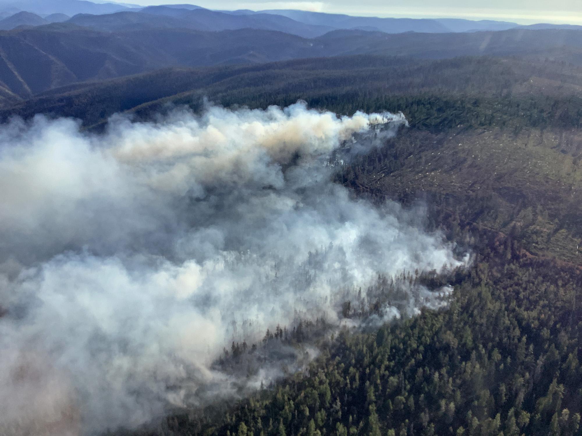 Plumes of smoke seen from an aerial view of a burn-out operation.