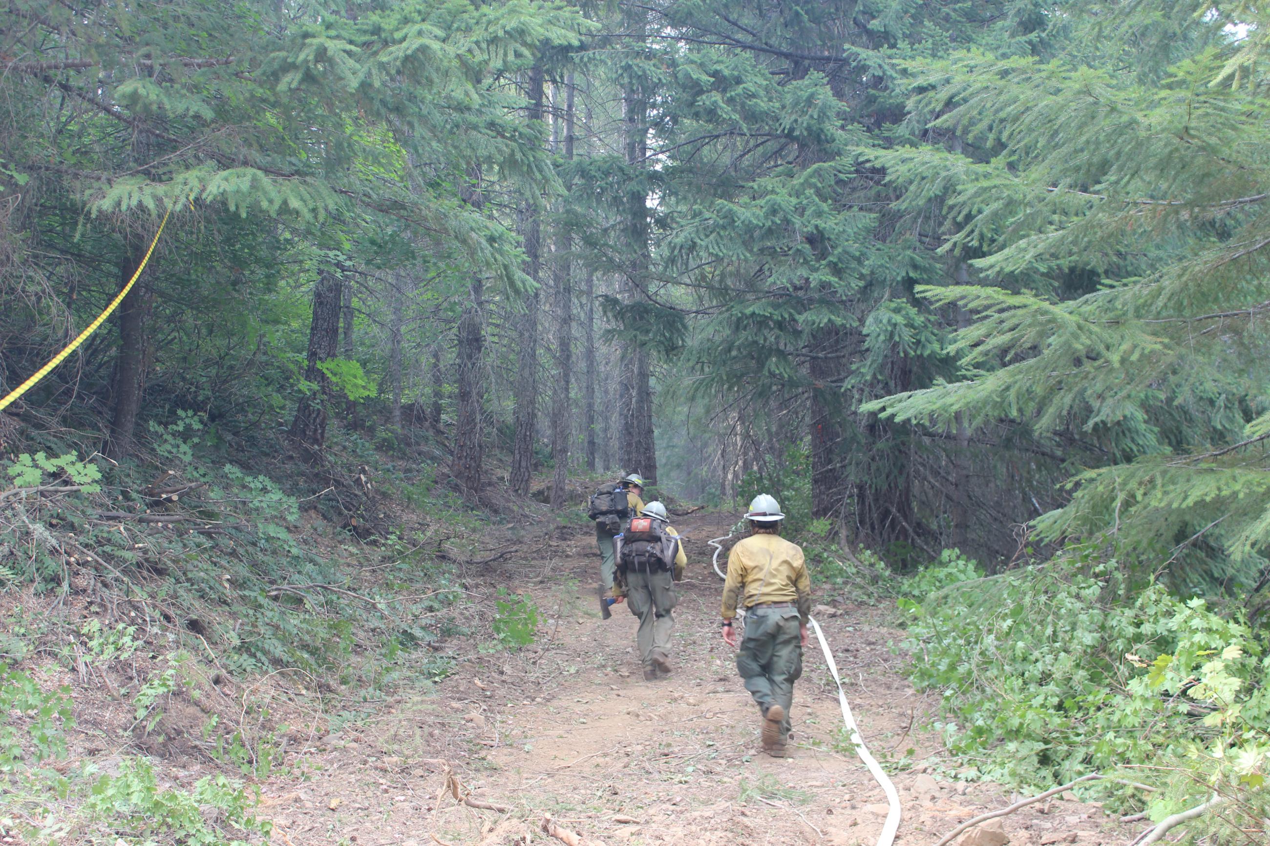 Three firefighters walk up a dusty dirt road along green trees