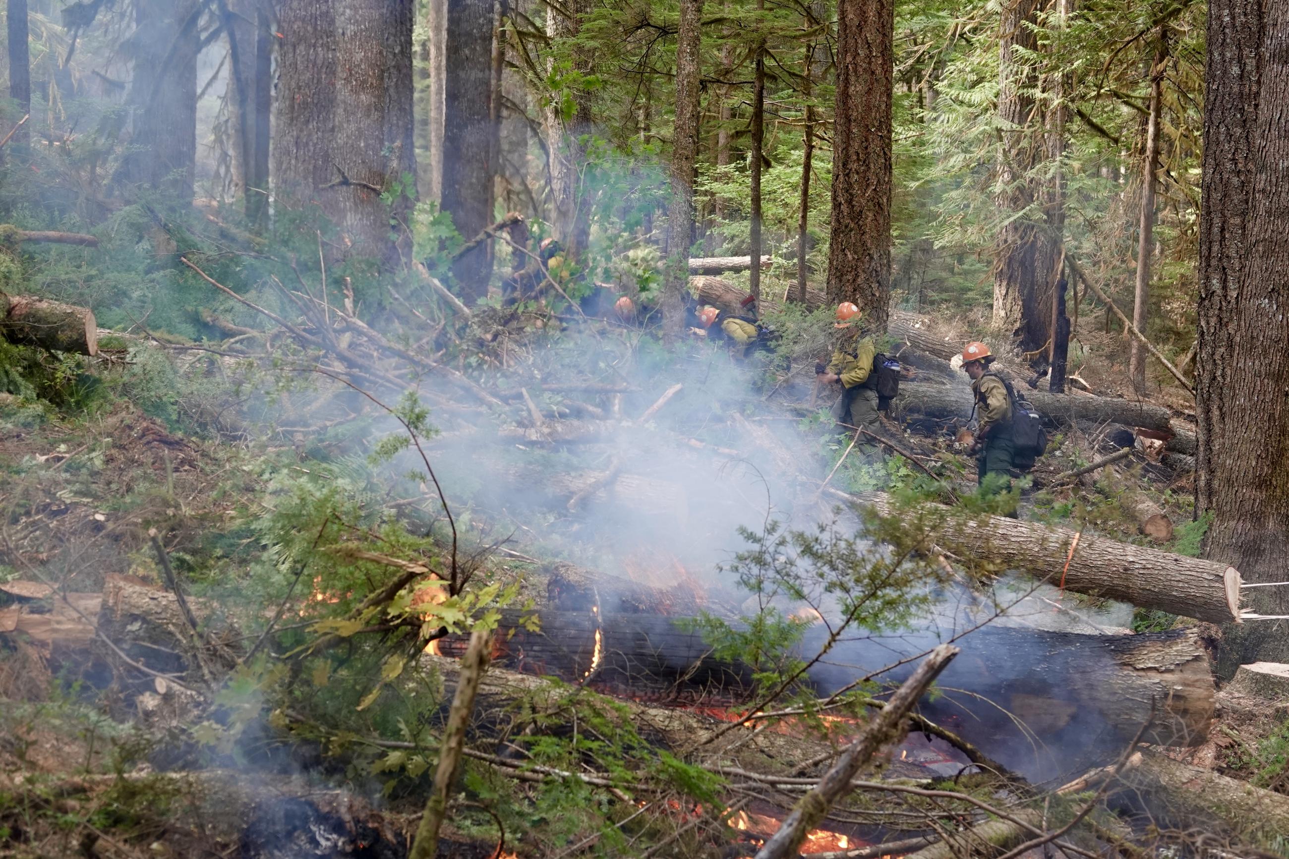 A group of firefighters work close to flames with tools