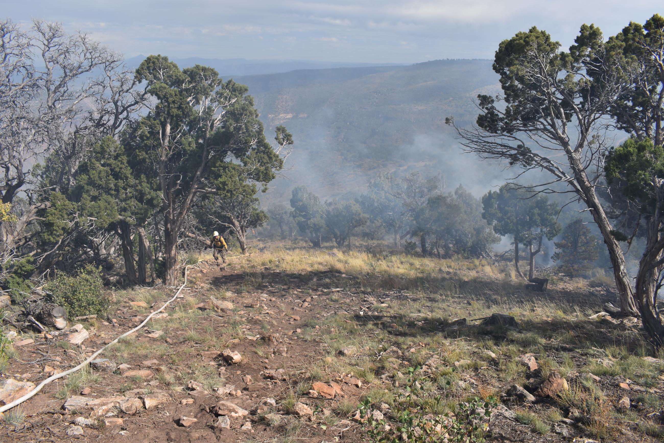 Image of a firefighter hiking up the north line of the prescribed burn, with hose lay on the side, Pinyon pine, juniper trees, grass, and smoke.
