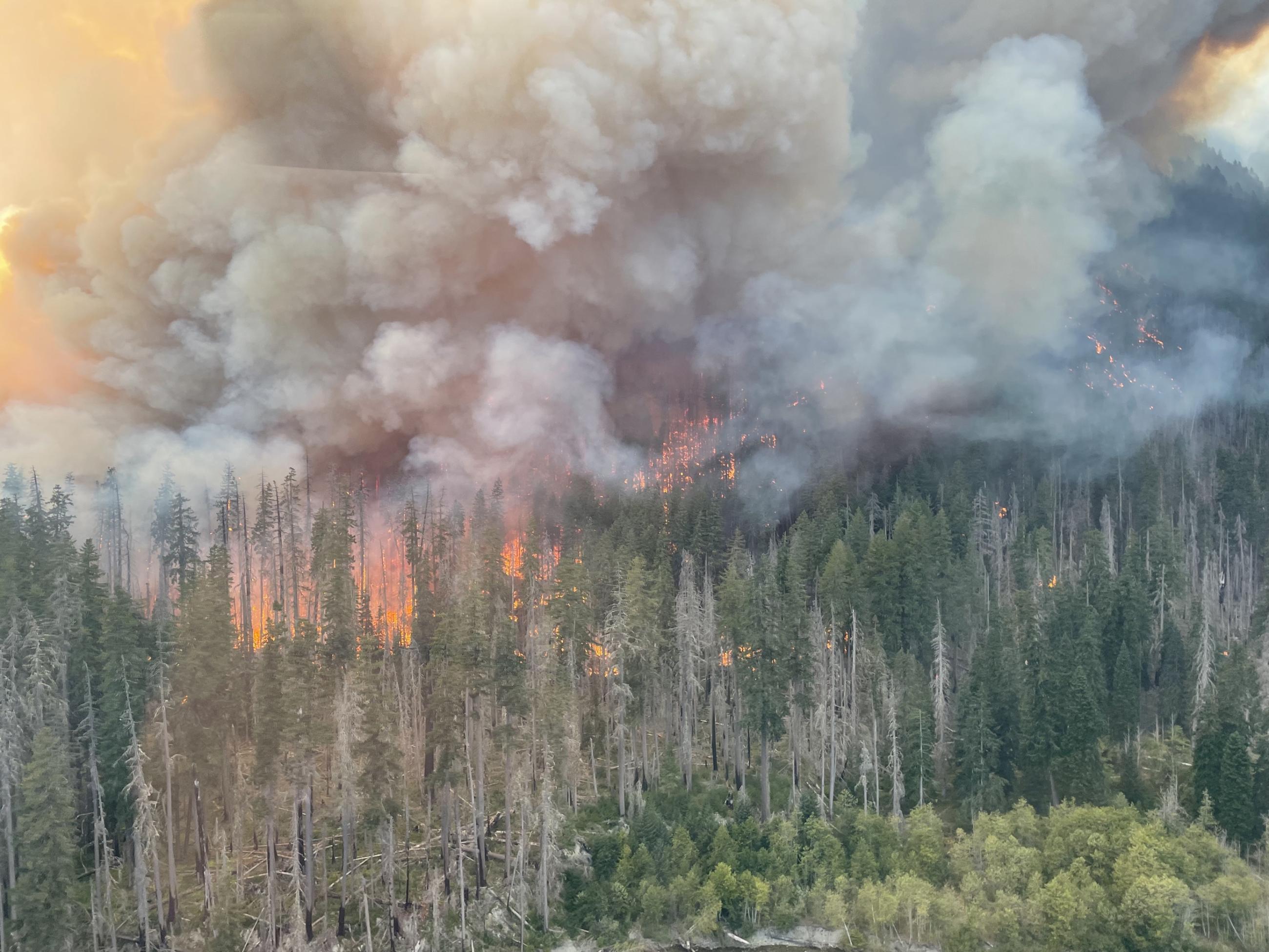Trees torching on Delebarre Fire September 16, 2023 