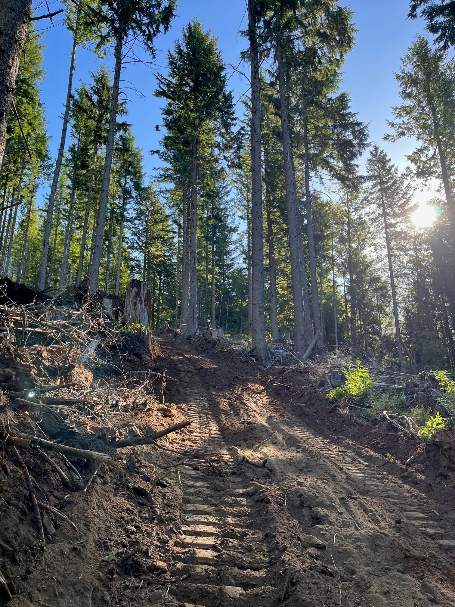 Firefighters construct contingency lines to form a barrier between the fire and communities. The lines are created by dozers and hand crews and will be rest