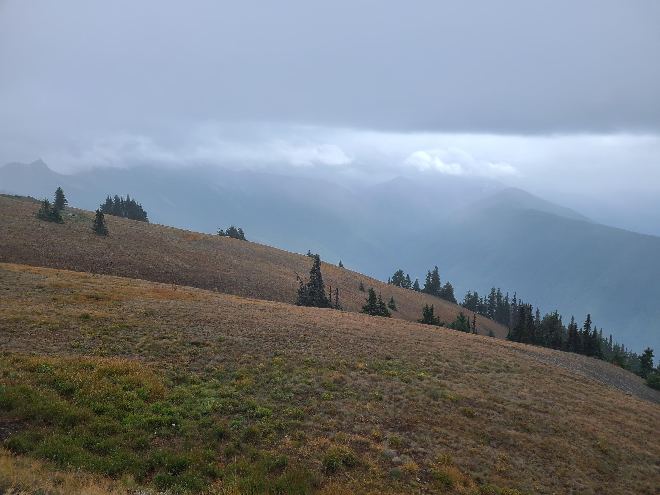 A grassy hillside with a grey clouded in mountain. 