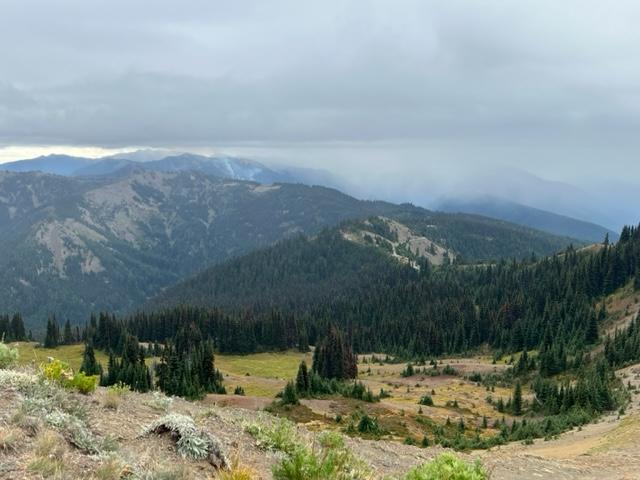 A sparsely forested hillside with a smokey fire on a mountain in the distance under a grey clouded sky. 