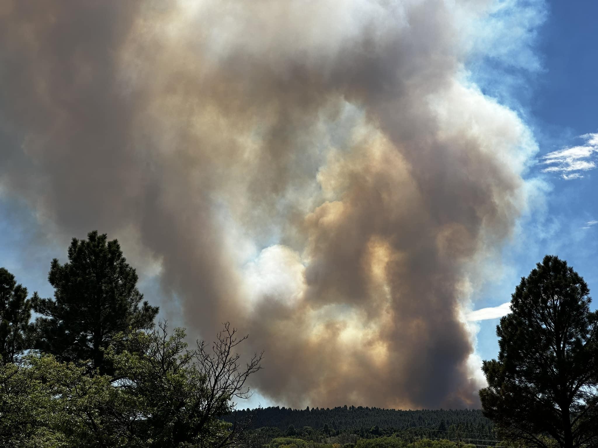 Moderate to high rate of spread on El Valle Fire