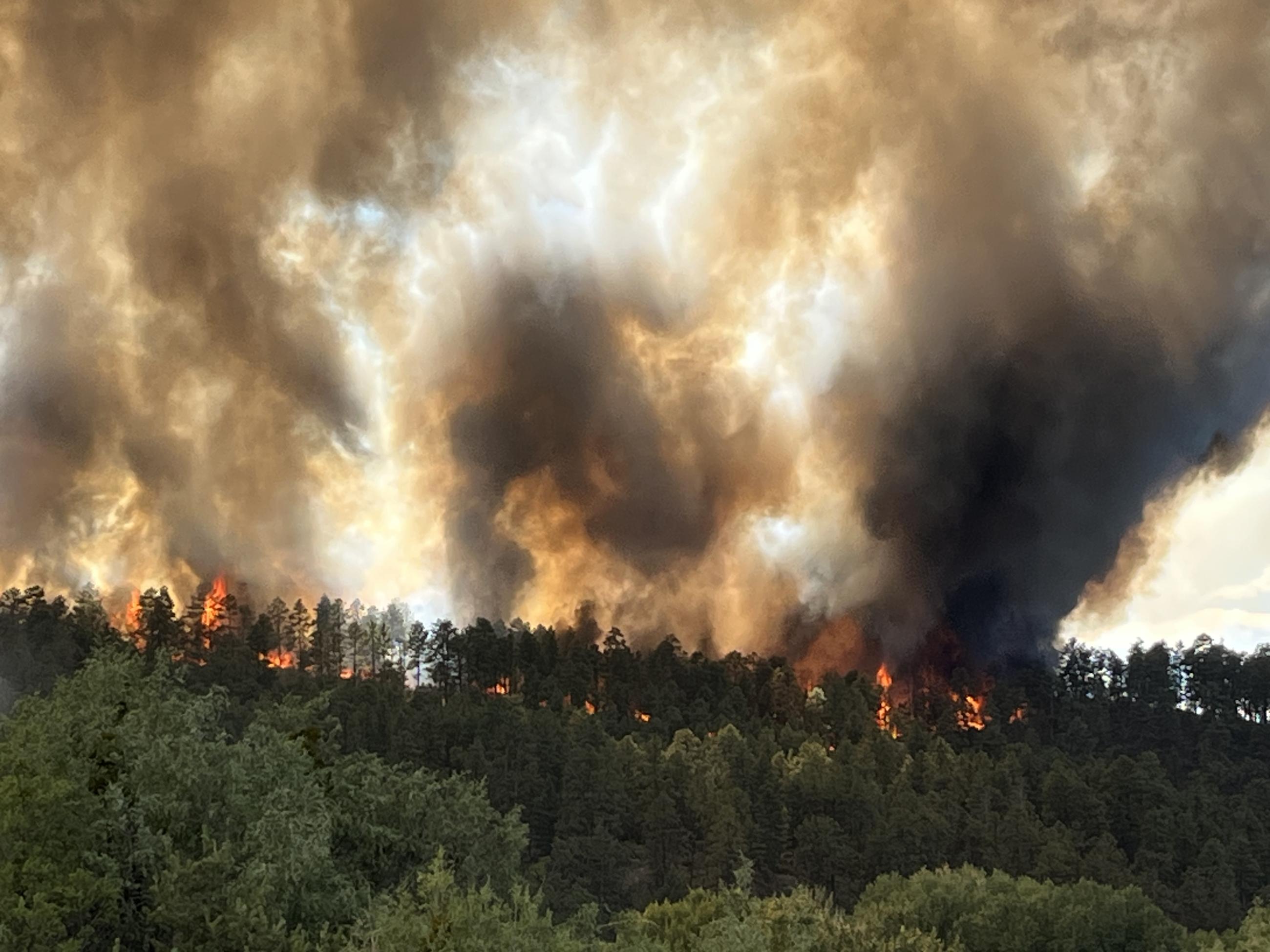 Smoke and flames rise from ponderosa pine atop a ridgeline on El Valle Fire