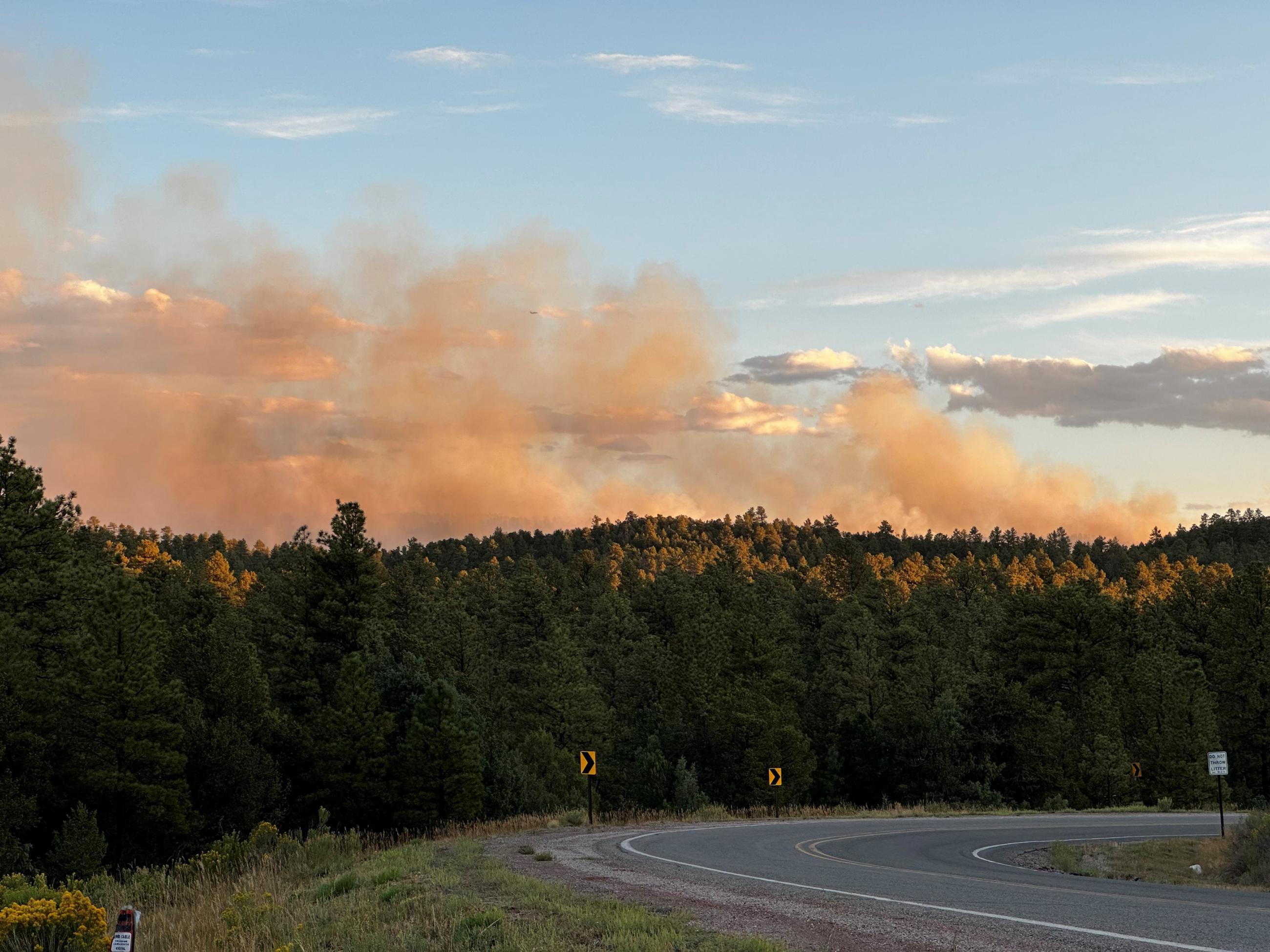 Smoke, with pinkish hues from a setting sun, rises from a forested area