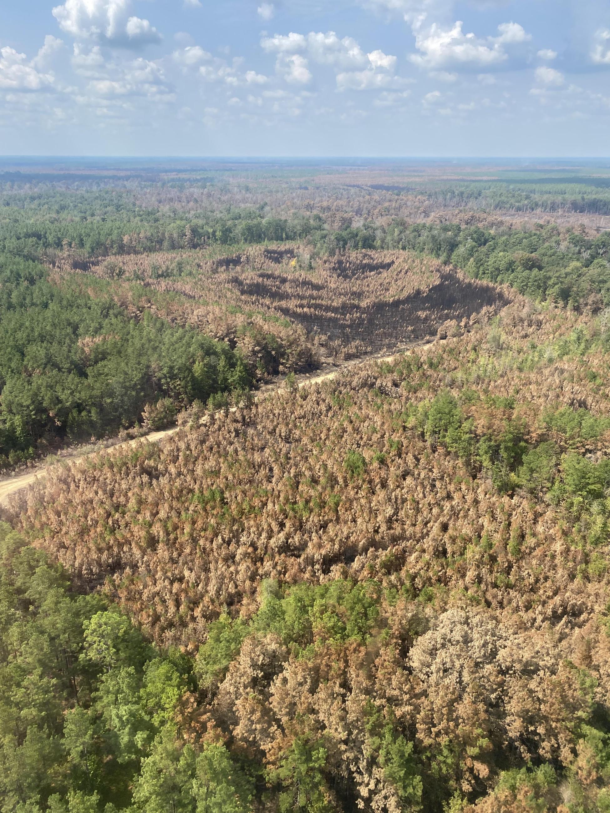 aerial photo over burned area