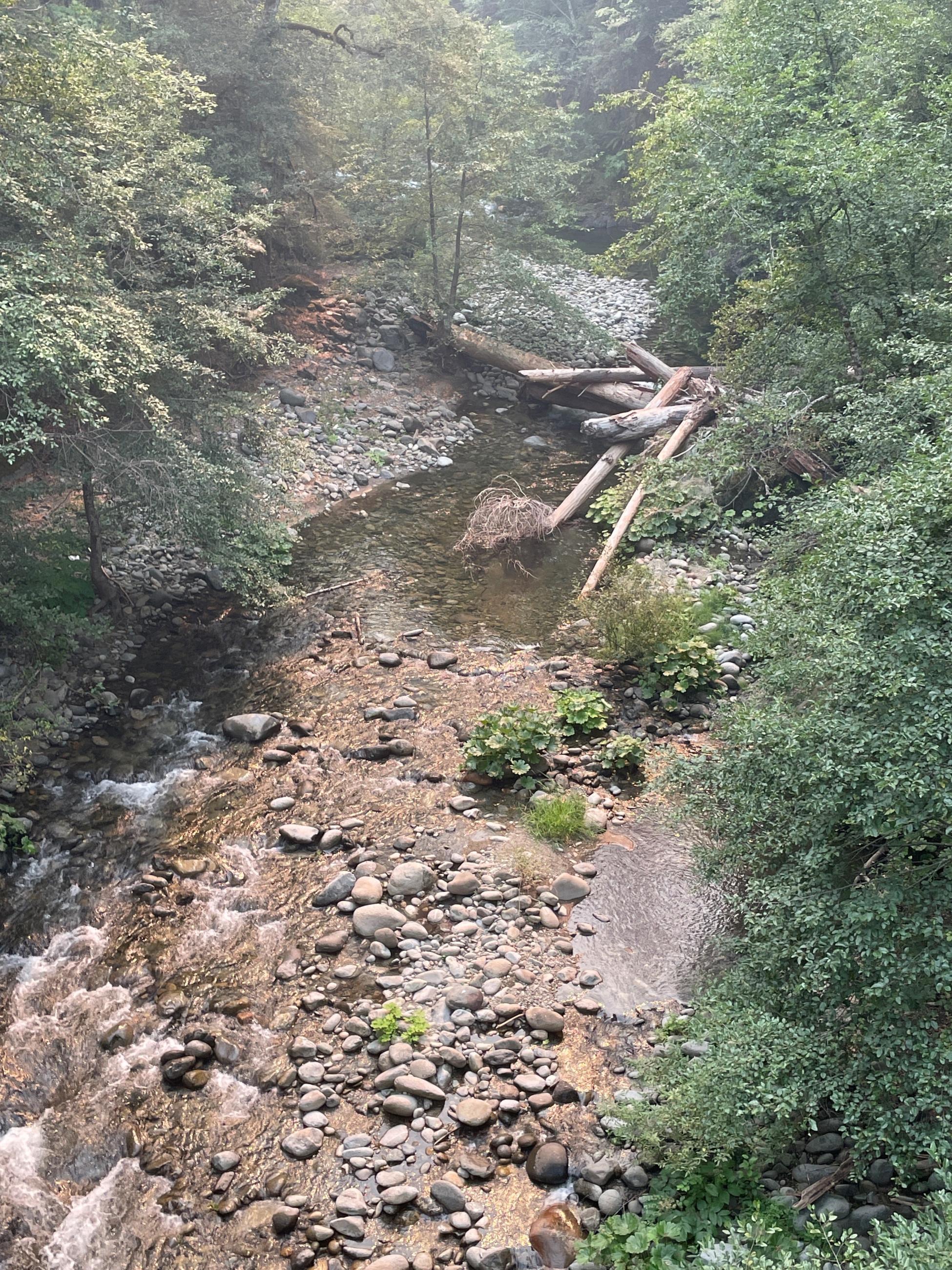 Unburned Elk Creek Drainage within UFish Fire