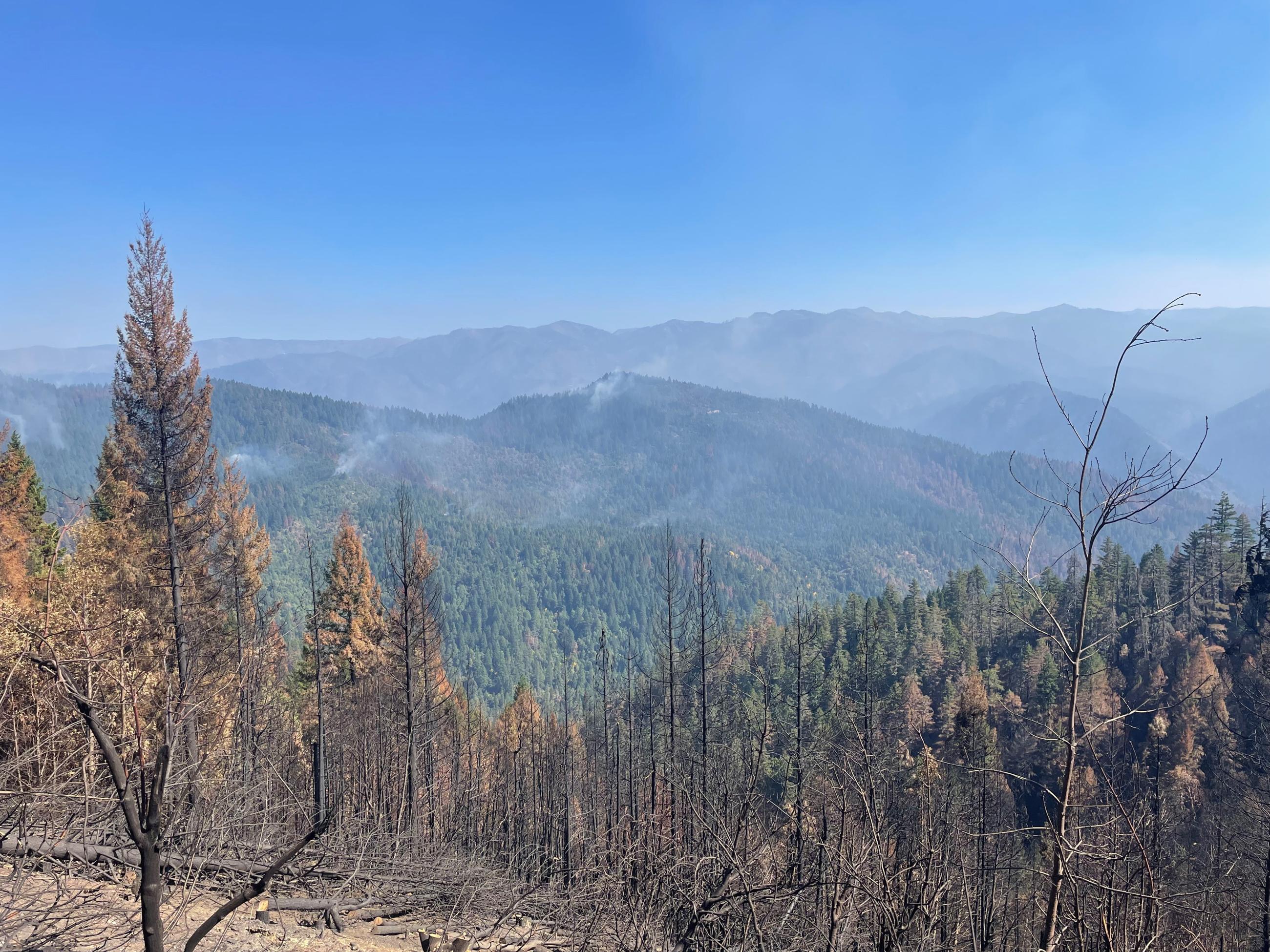 Burned Slopes within the Elliot Fire