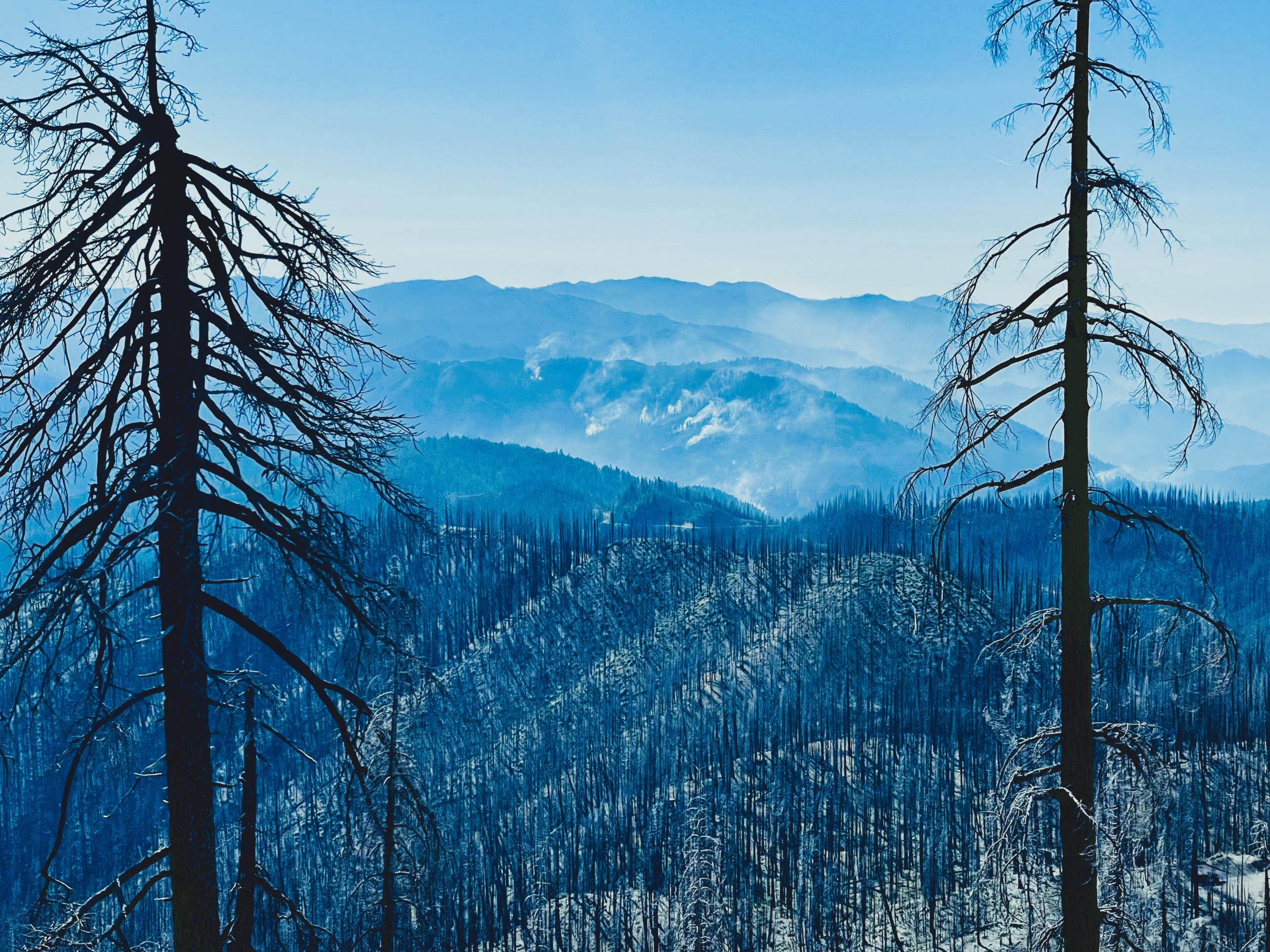 Looking at Elliot Fire from 2021 Slater Fire Burned Area