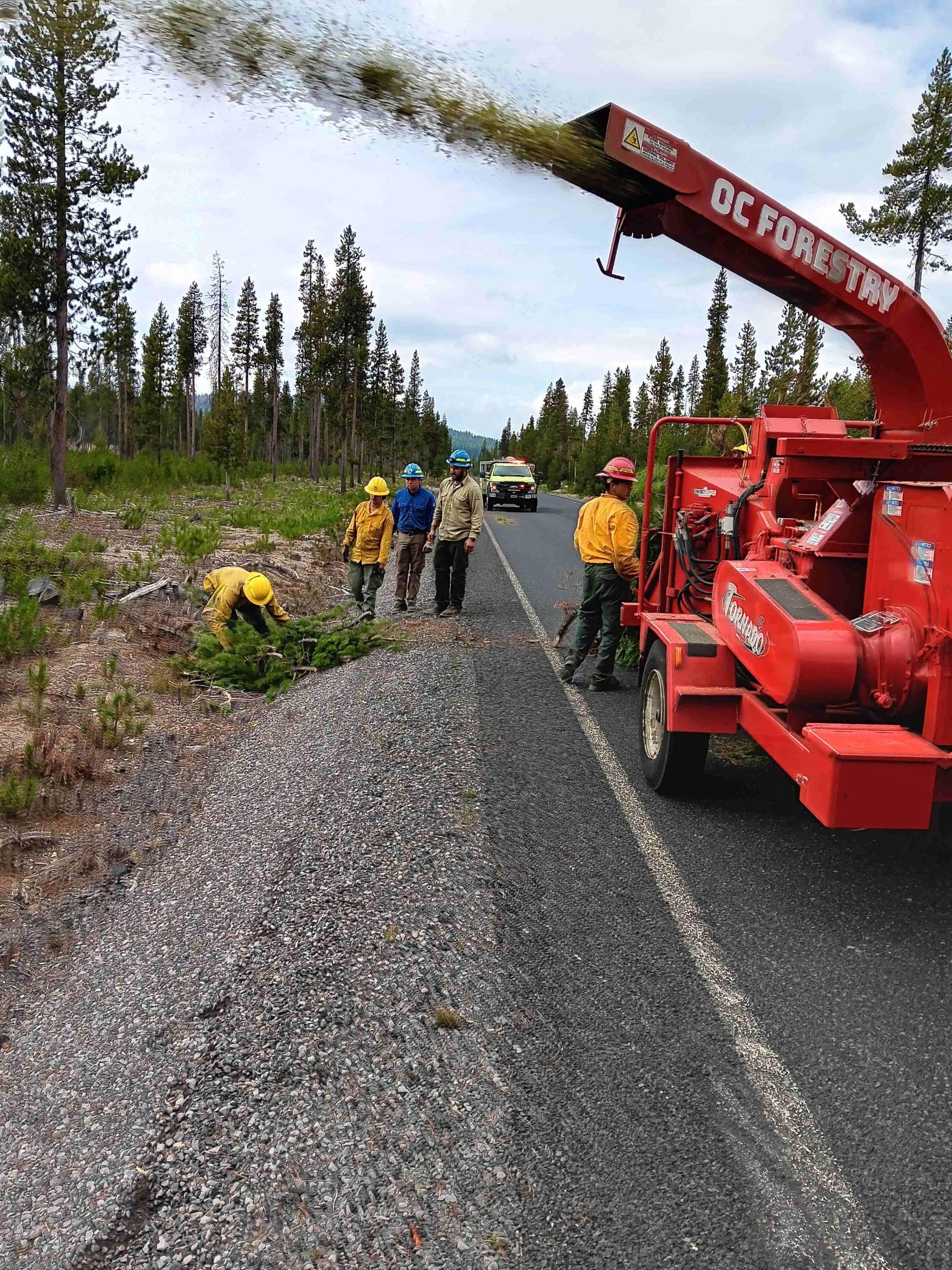 Chipping operations along Cascade Lakes Highway