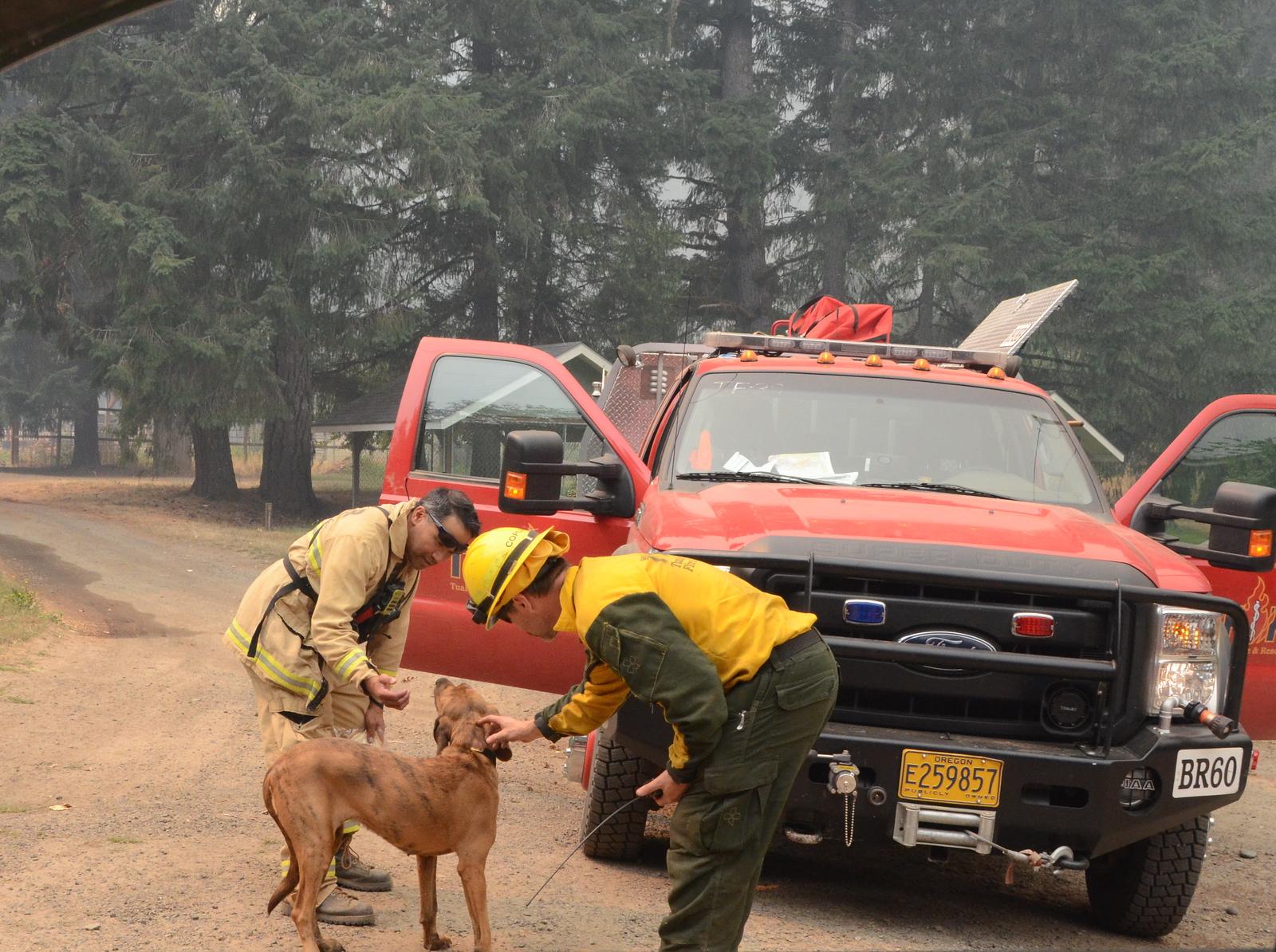 Dog welcoming Firefighters