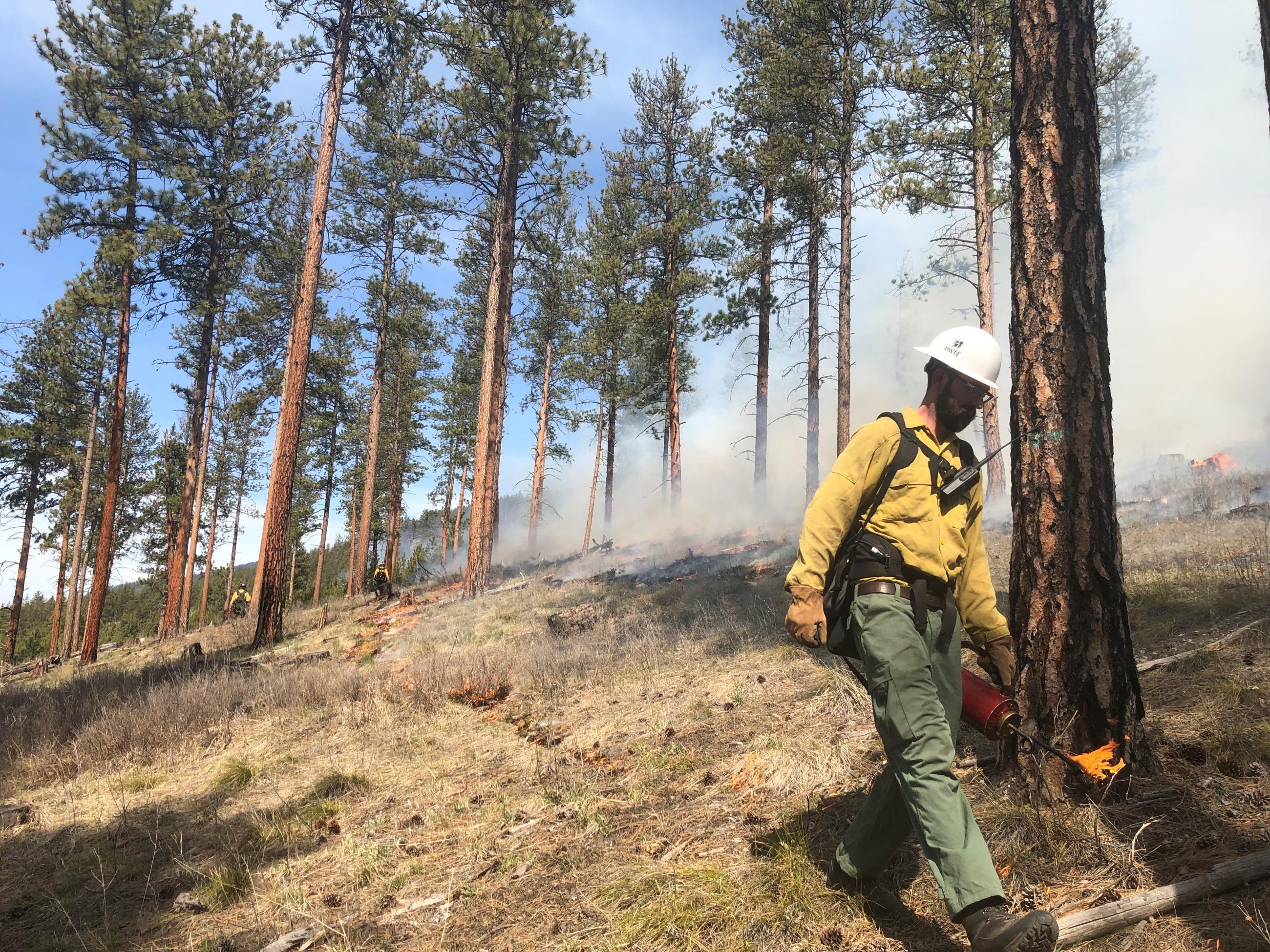 Firefighter with drip torch