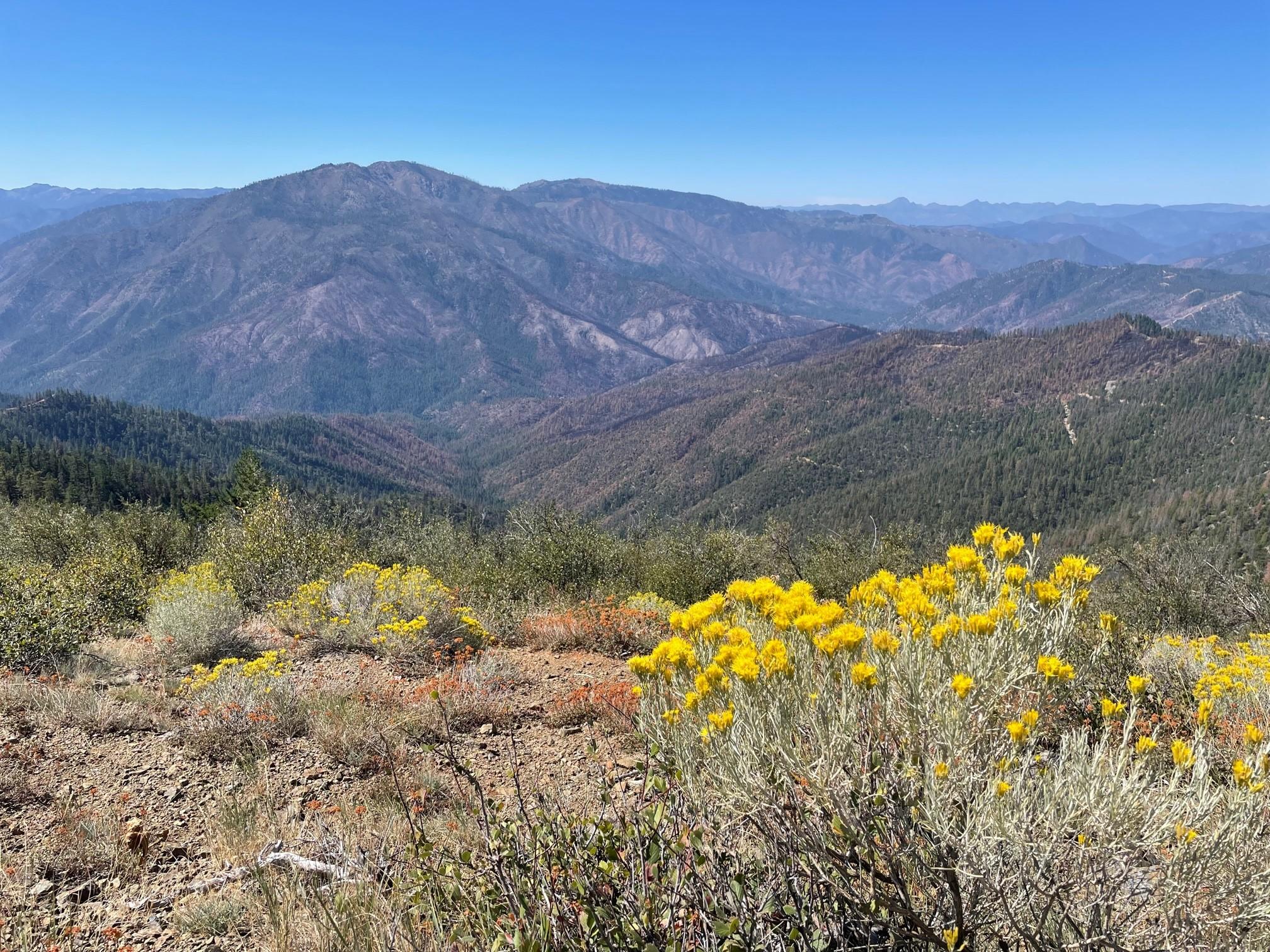 Head Fire from Lookout