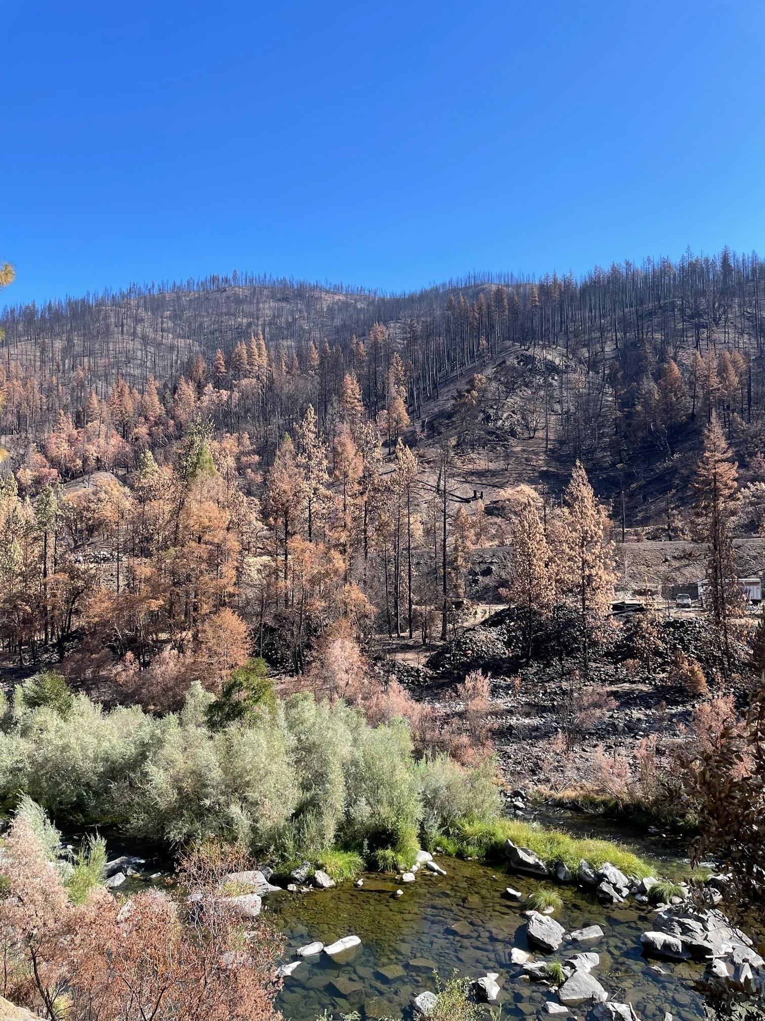 Burned Slopes above Scott River within Head Fire