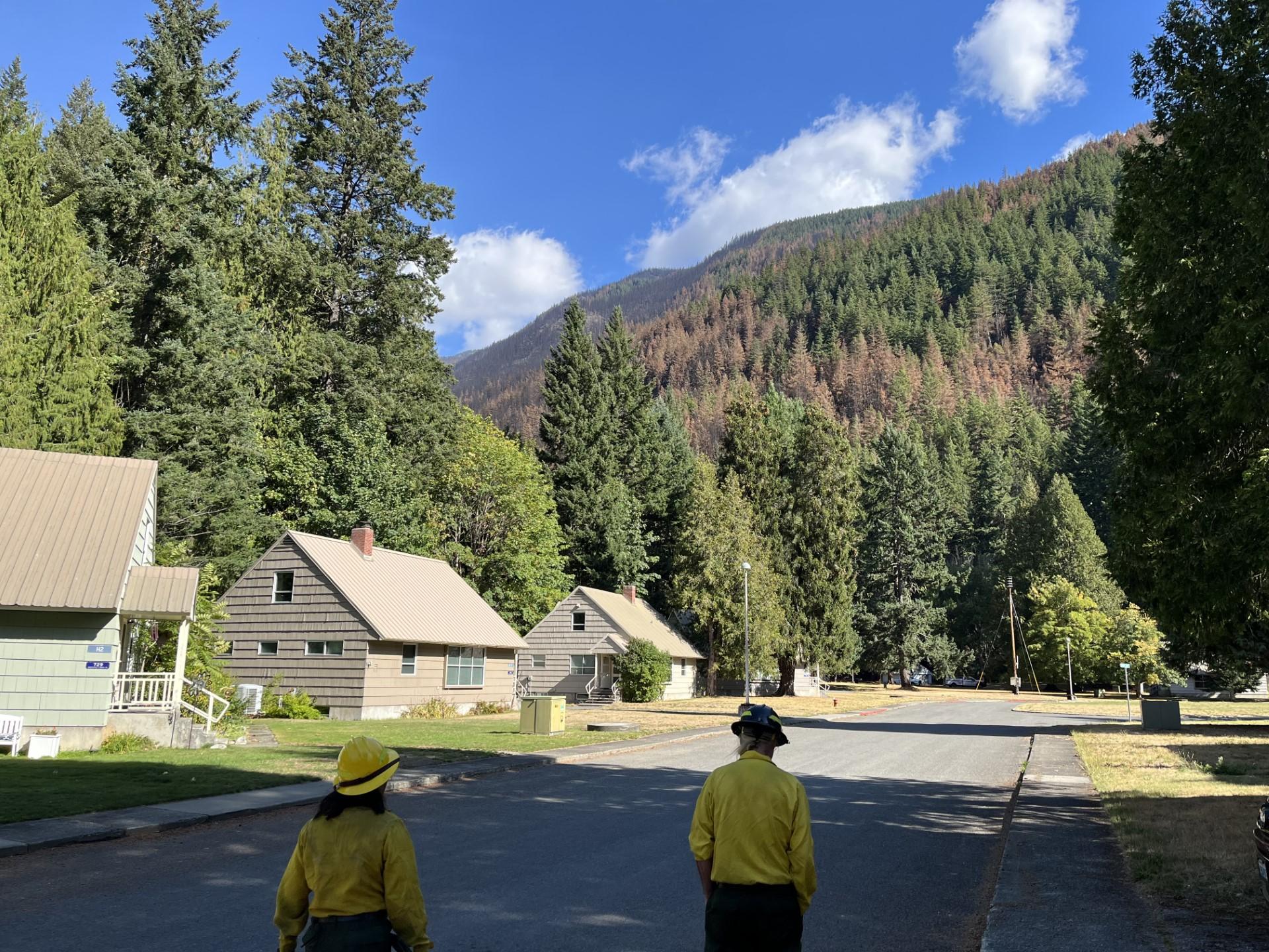 Two scientists in fire clothing walk on paved road next to tan houses with evergreen trees and mountains in the distance