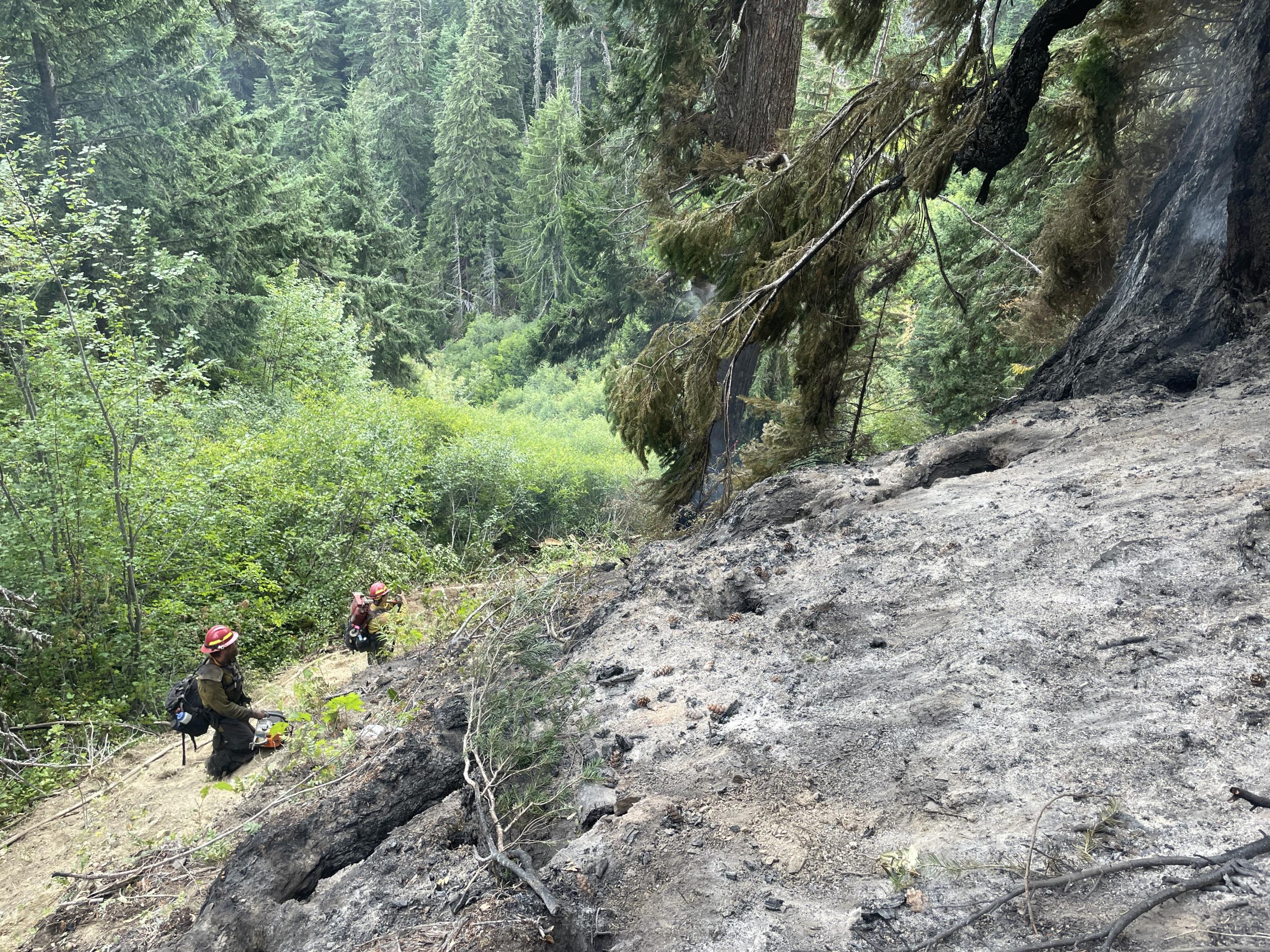 Firefighters in steep terrain in Olympic National Park