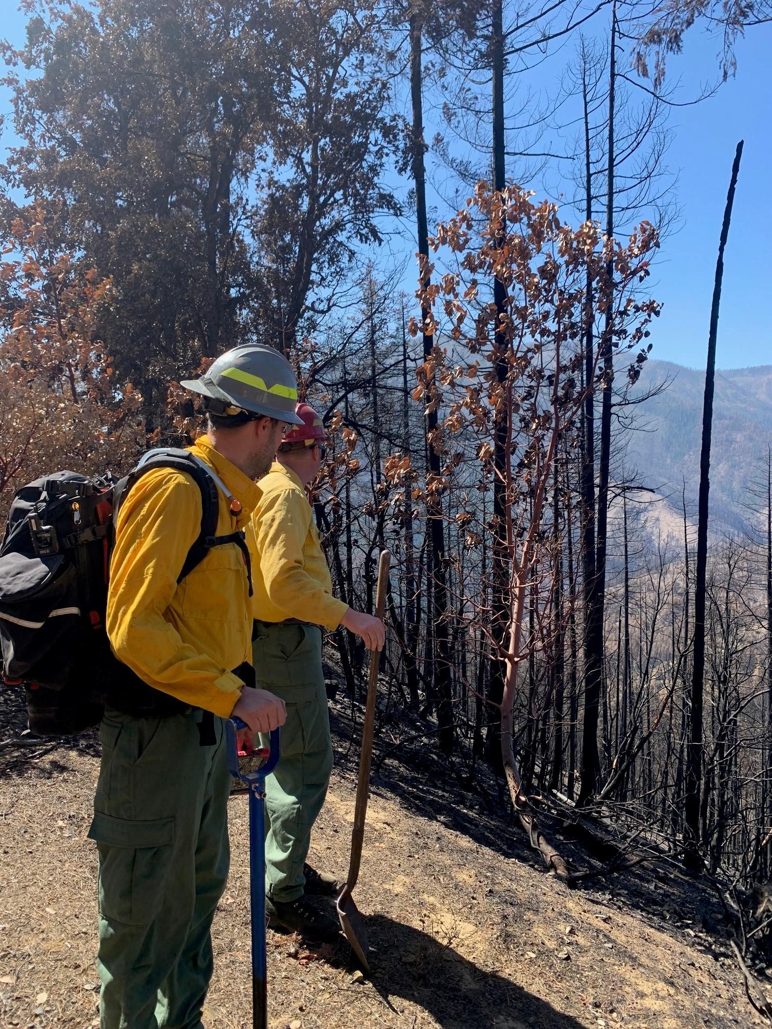 BAER Specialists assessing burned areas within the Head Fire