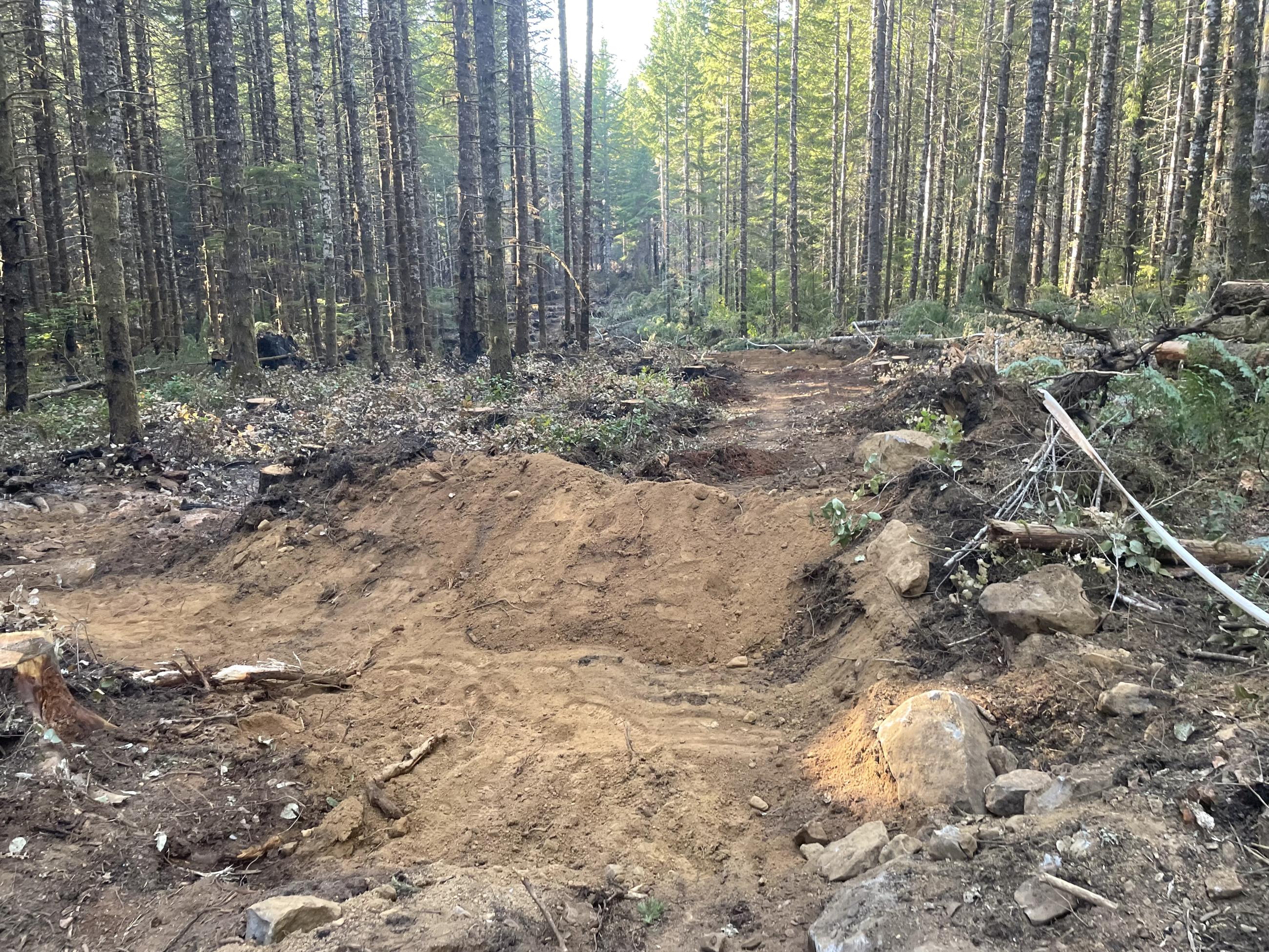 Dirt mounded across a cleared path through the forest.