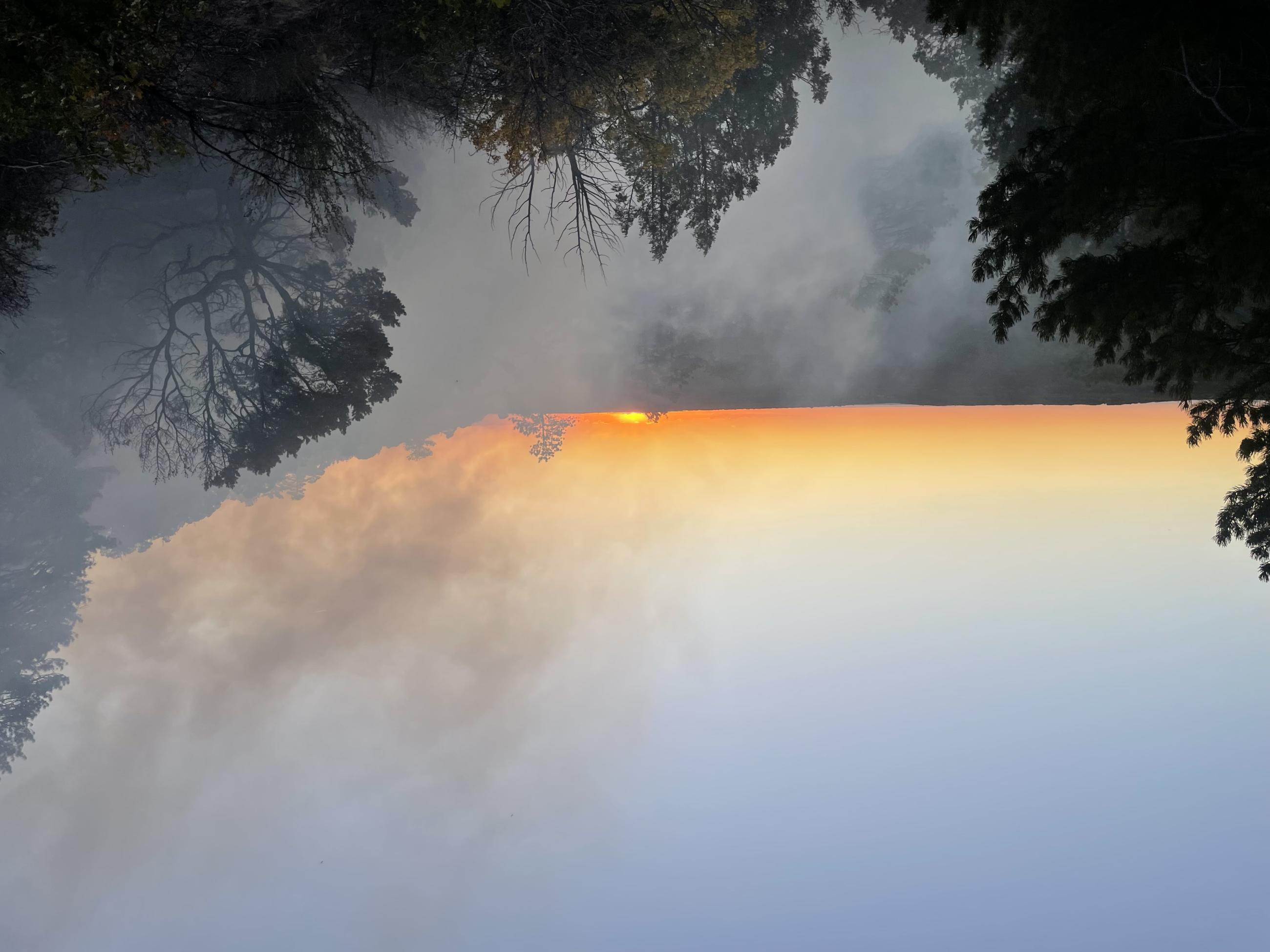 Smoke rising from trees with sunset in background