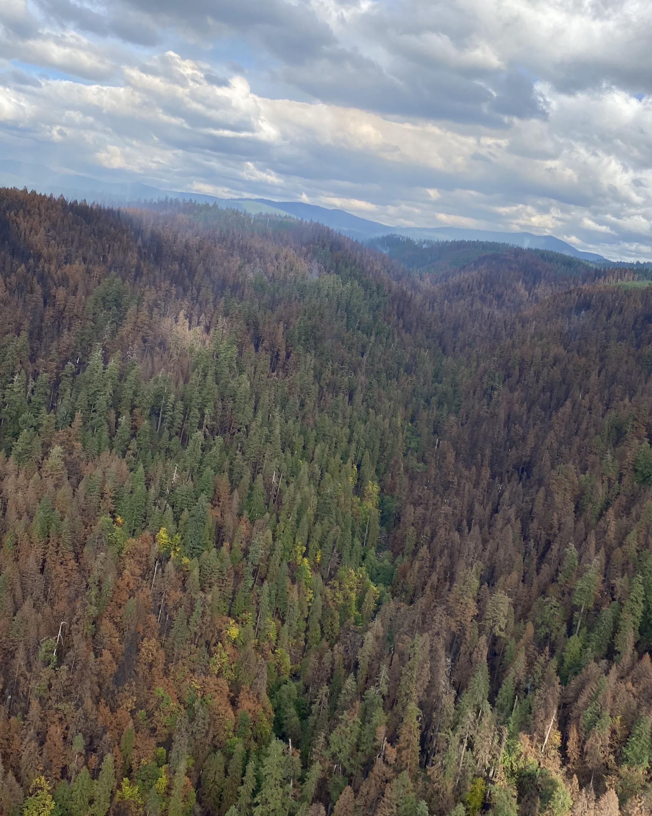 an aerial view of the south fork of the Bull Run River