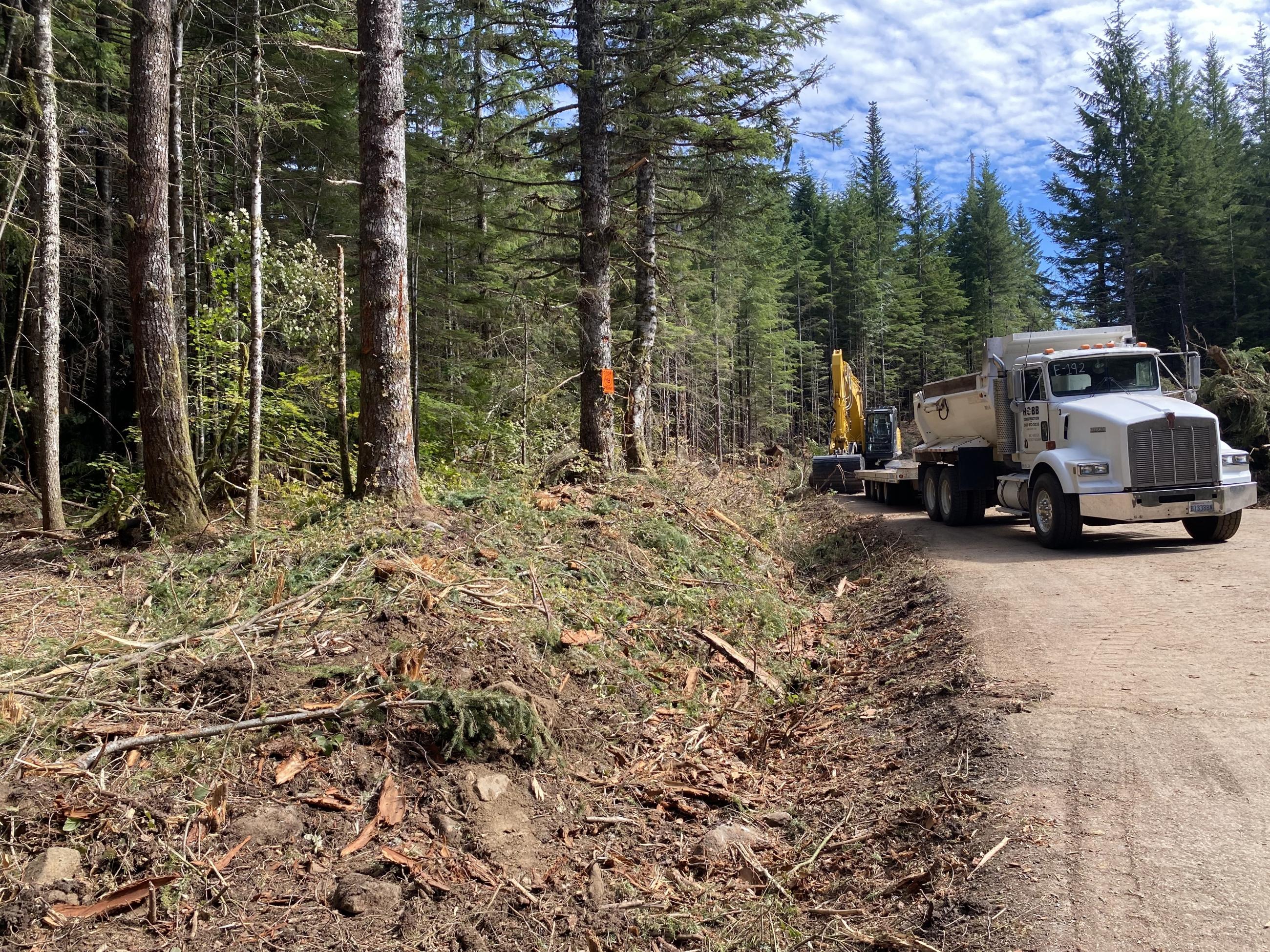 a dump truck and an excavator on the road 