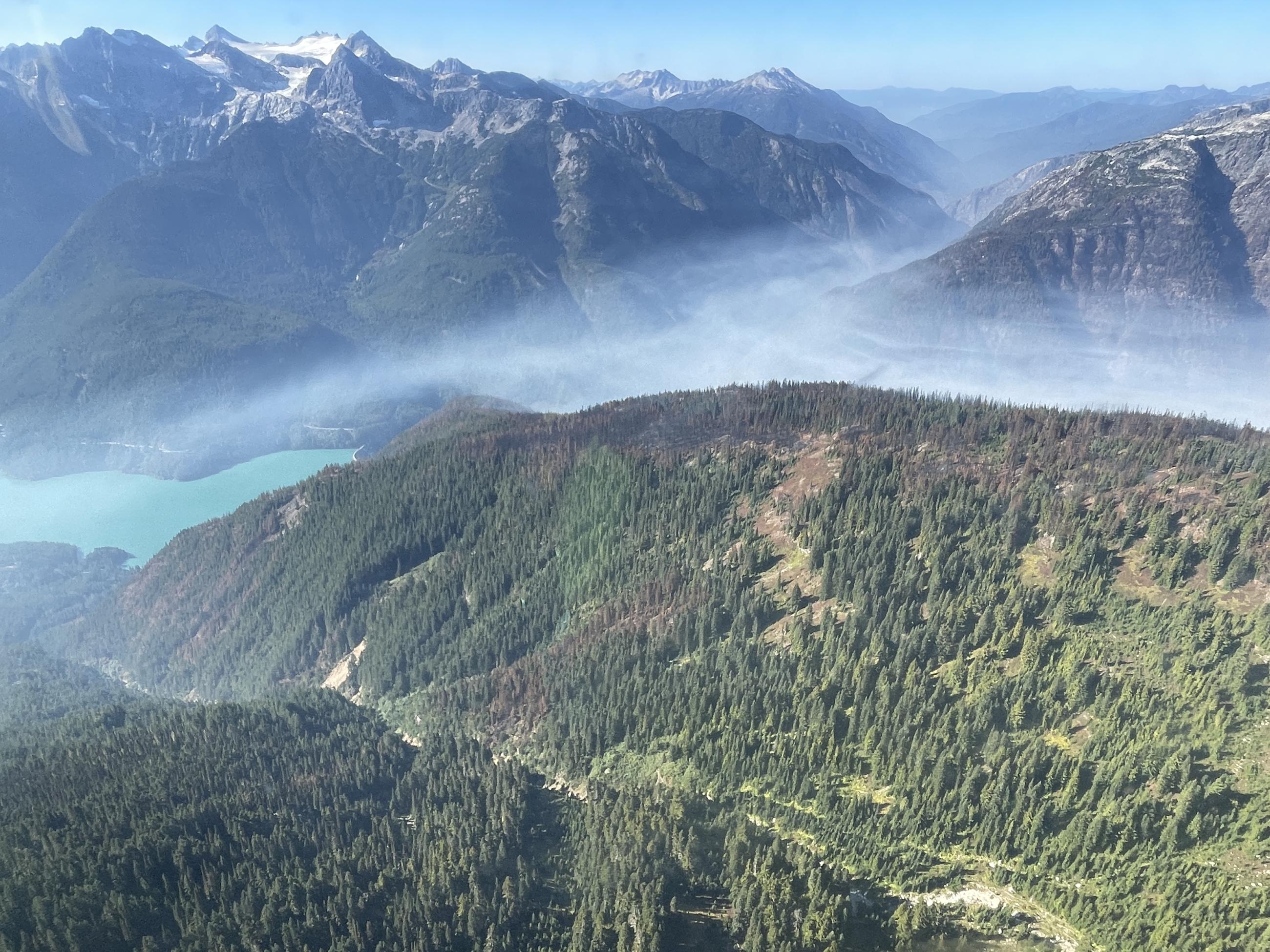 Smoke settles into a canyon with plants in the foreground and mountains in the background