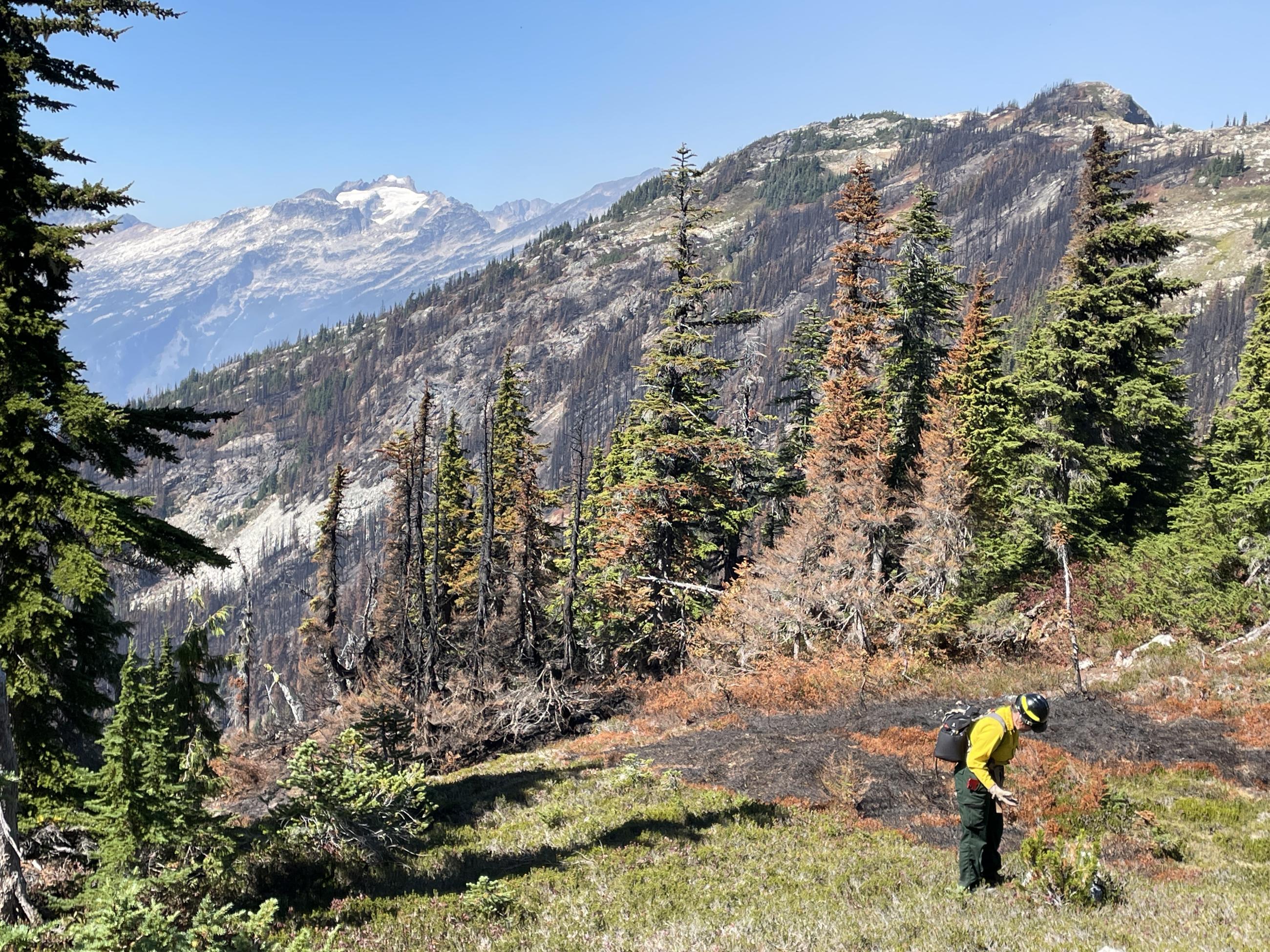 A scientist in fire gear stands on a semi-burnt hillside with mountains in the background