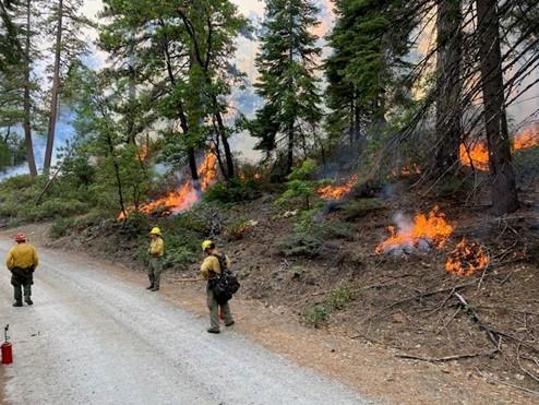 Firefighters work along a forest road on the Quarry Fire in the Stanislaus National Forest