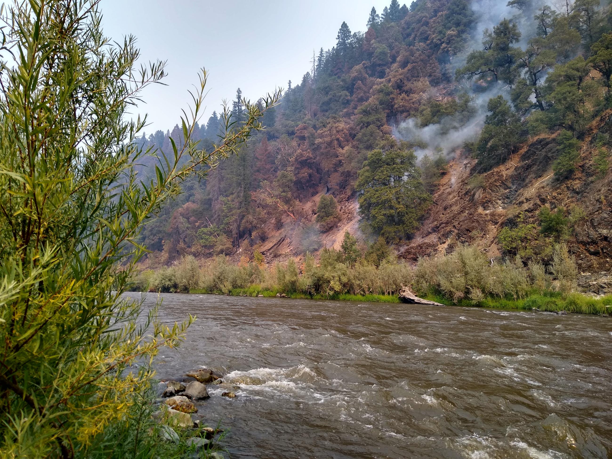 This photo shows low-intensity fire on the Ufish Fire, along the Klamath River on September 11.