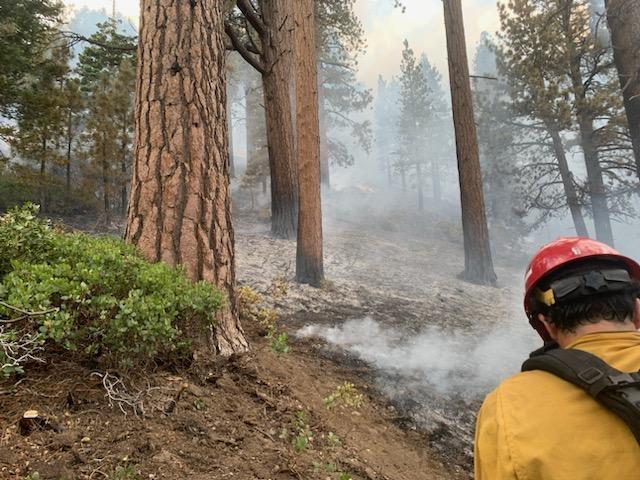 Nvhtf Wolf Creek Fire Incident Photographs | InciWeb