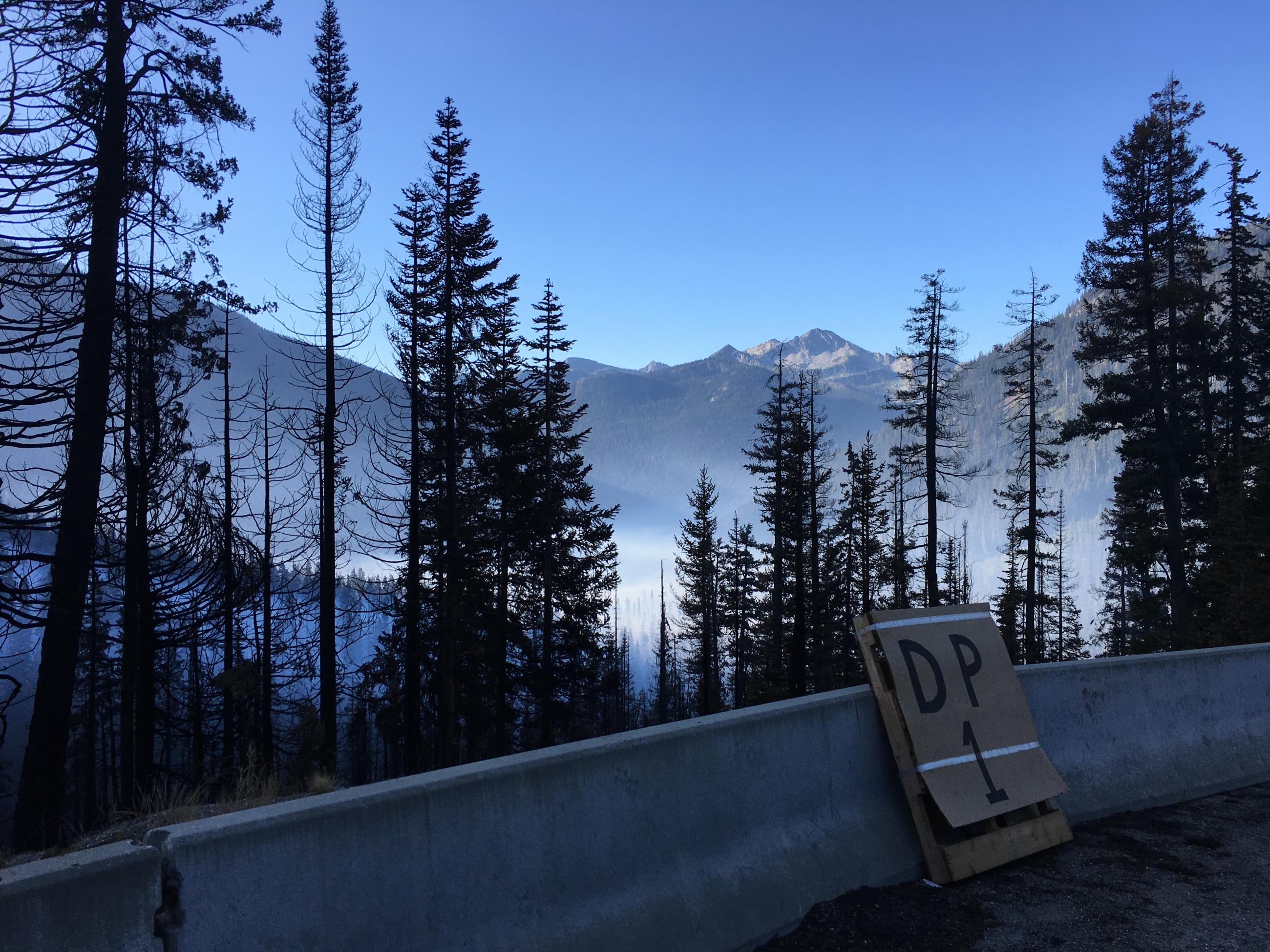 View of Blue Lake Fire where trees have been blackened by the fire smoke and mountains the in background