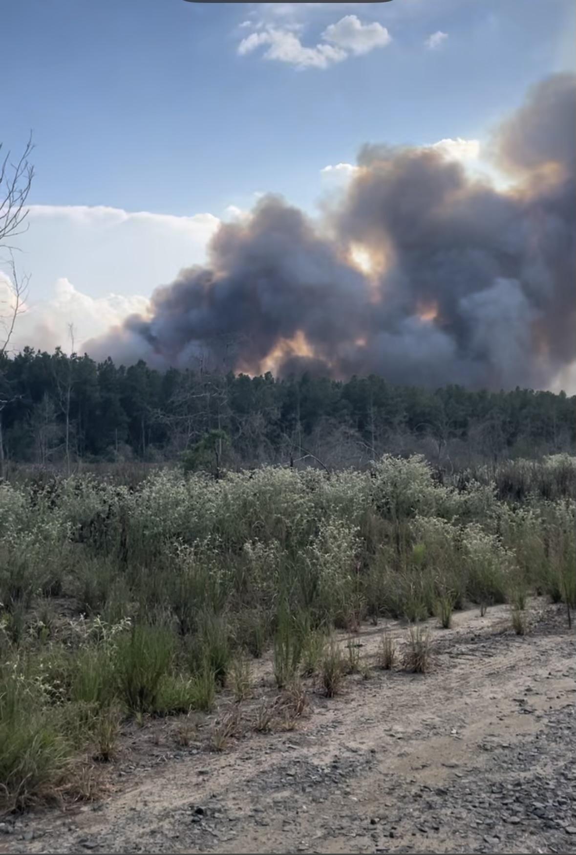 Smoke plumes rising behind a field and trees.