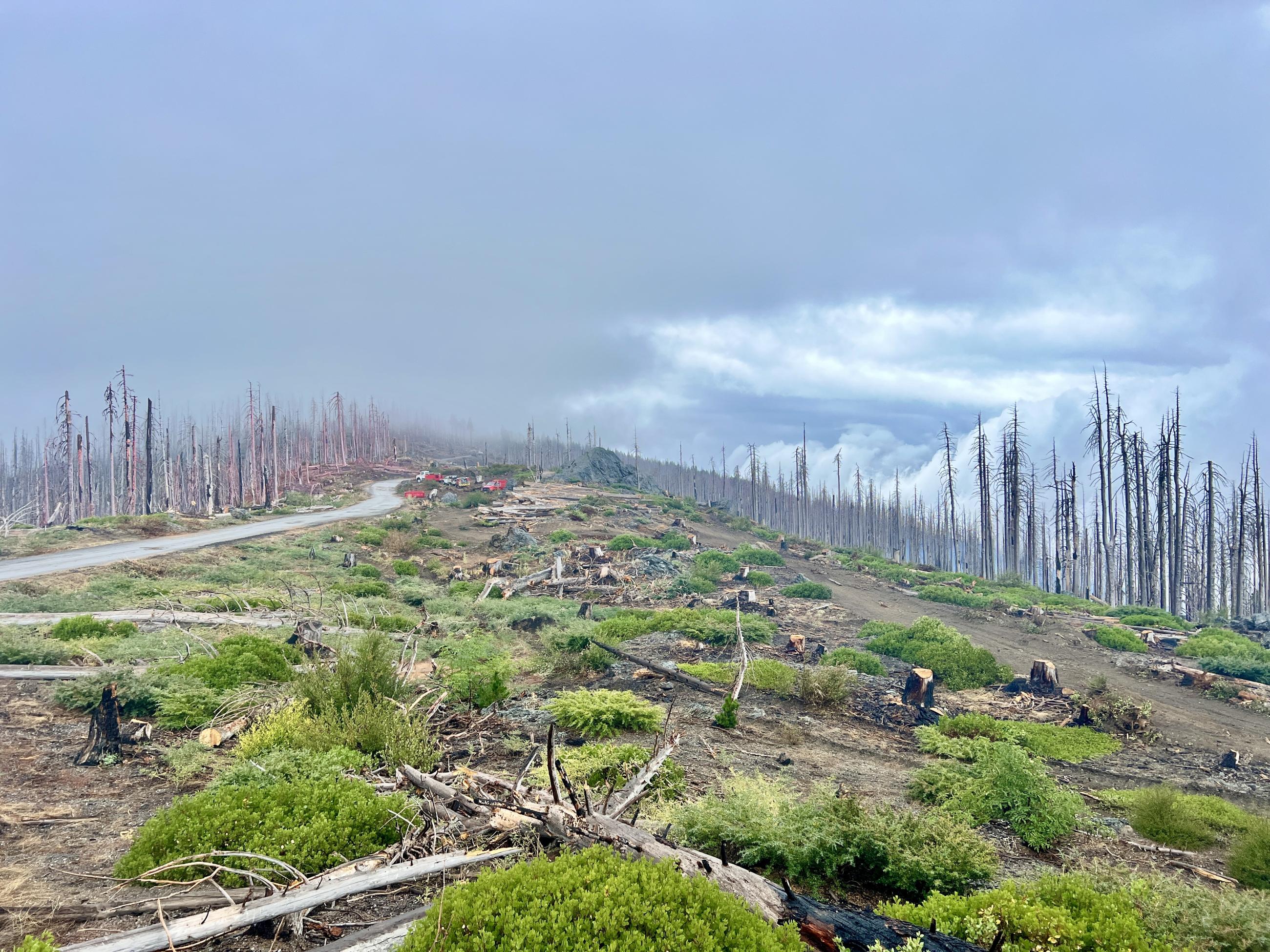 Log Decking Operations on eastern side of 3-9 Fire