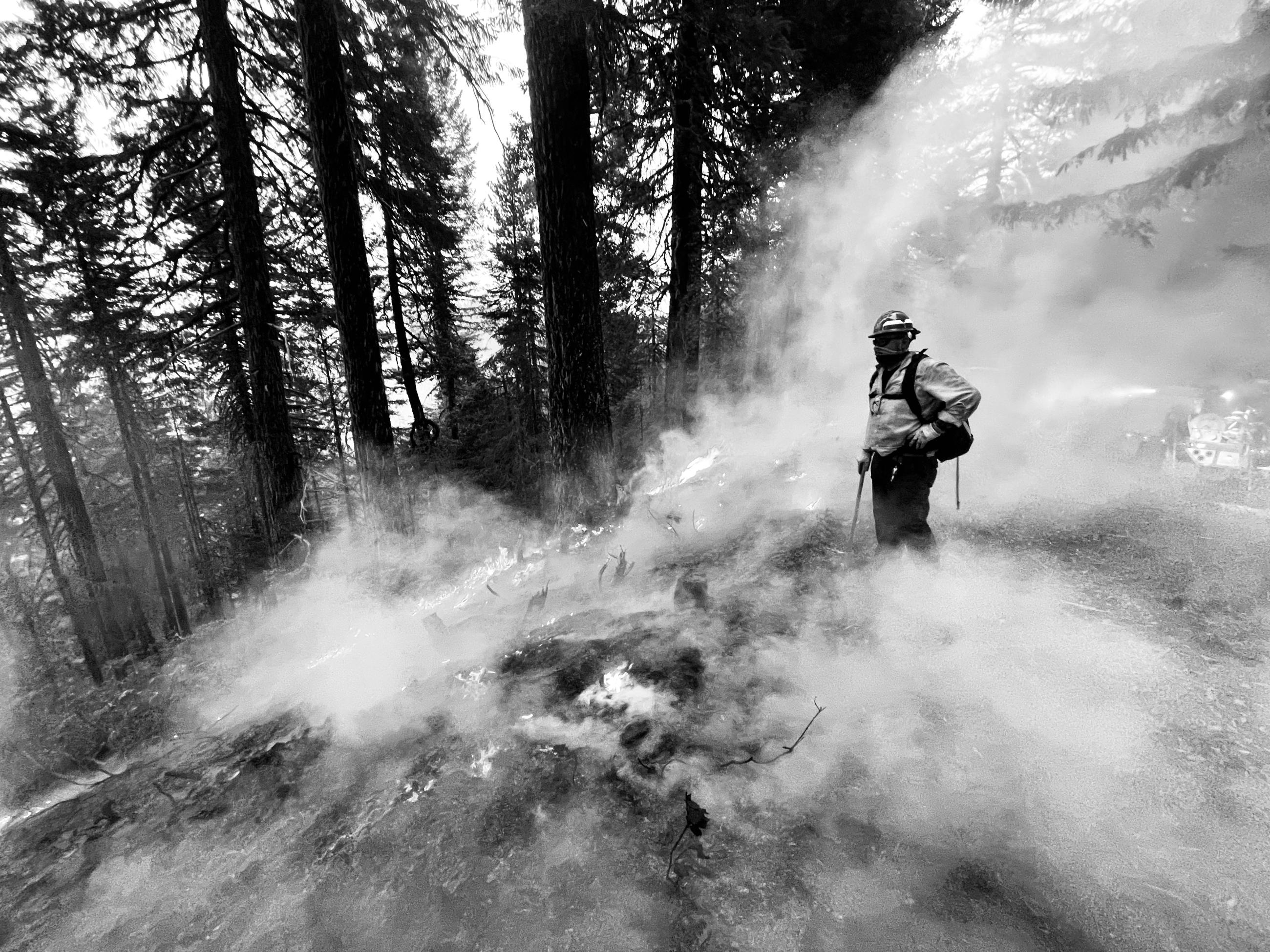 a black and white photo of a firefighter in a pine grove surrounded by smoke