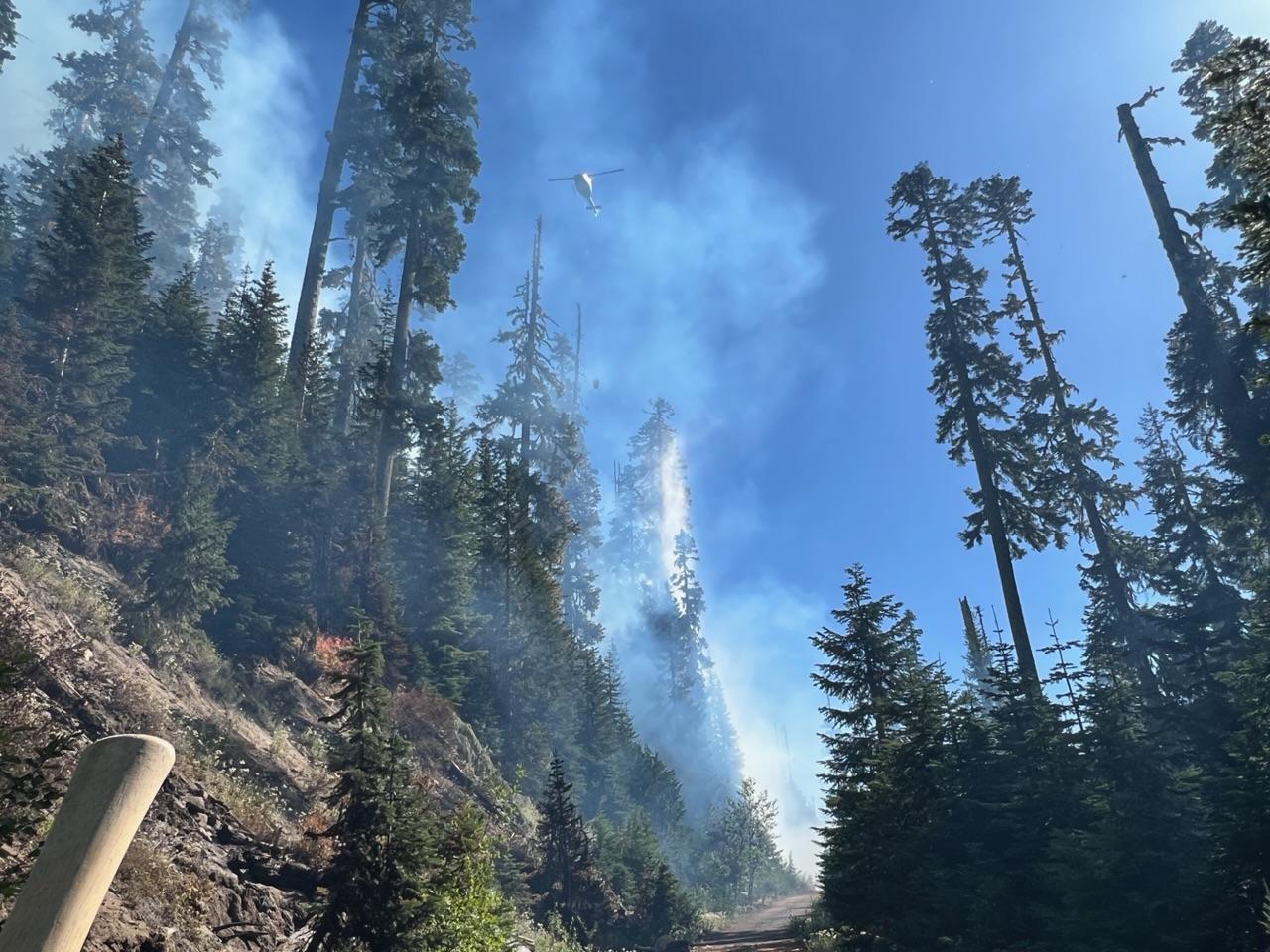 A helicopter flies above the trees on Division W, Cowlitz Fire.