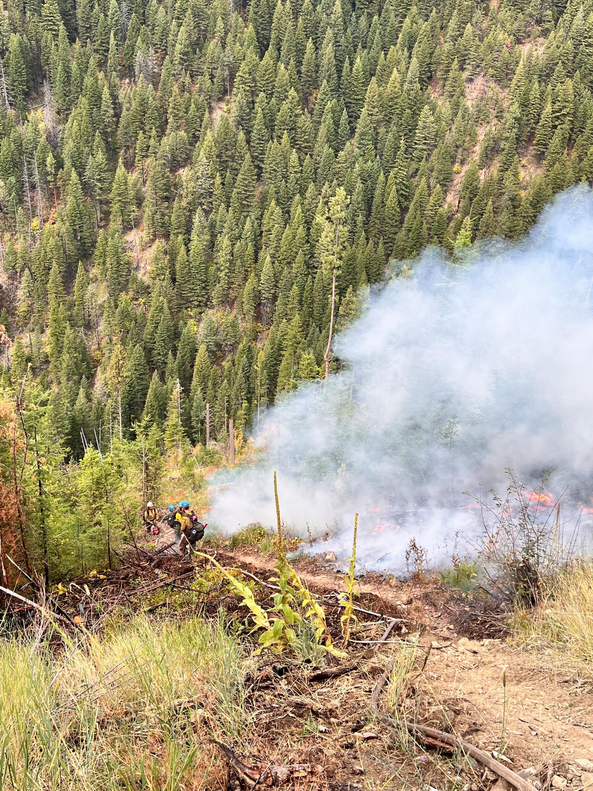 Smoke from a prescribed burn in steep terrain 