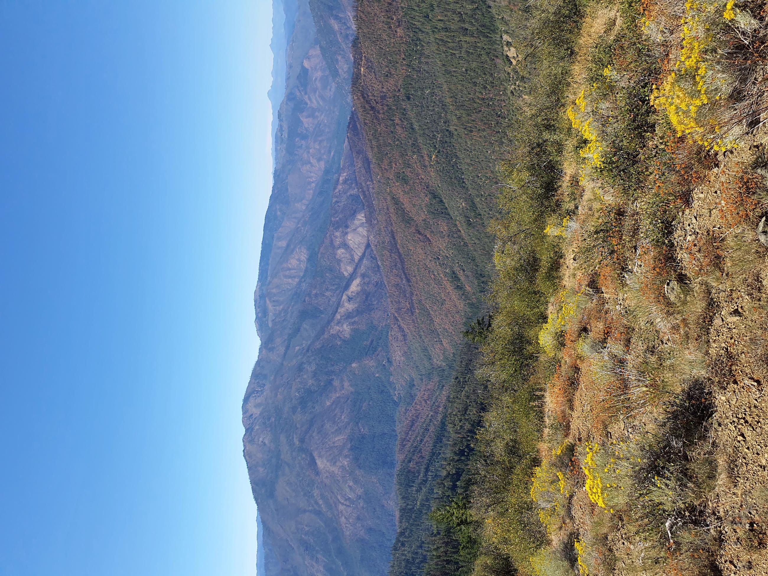 Looking Down toward the Head Fire