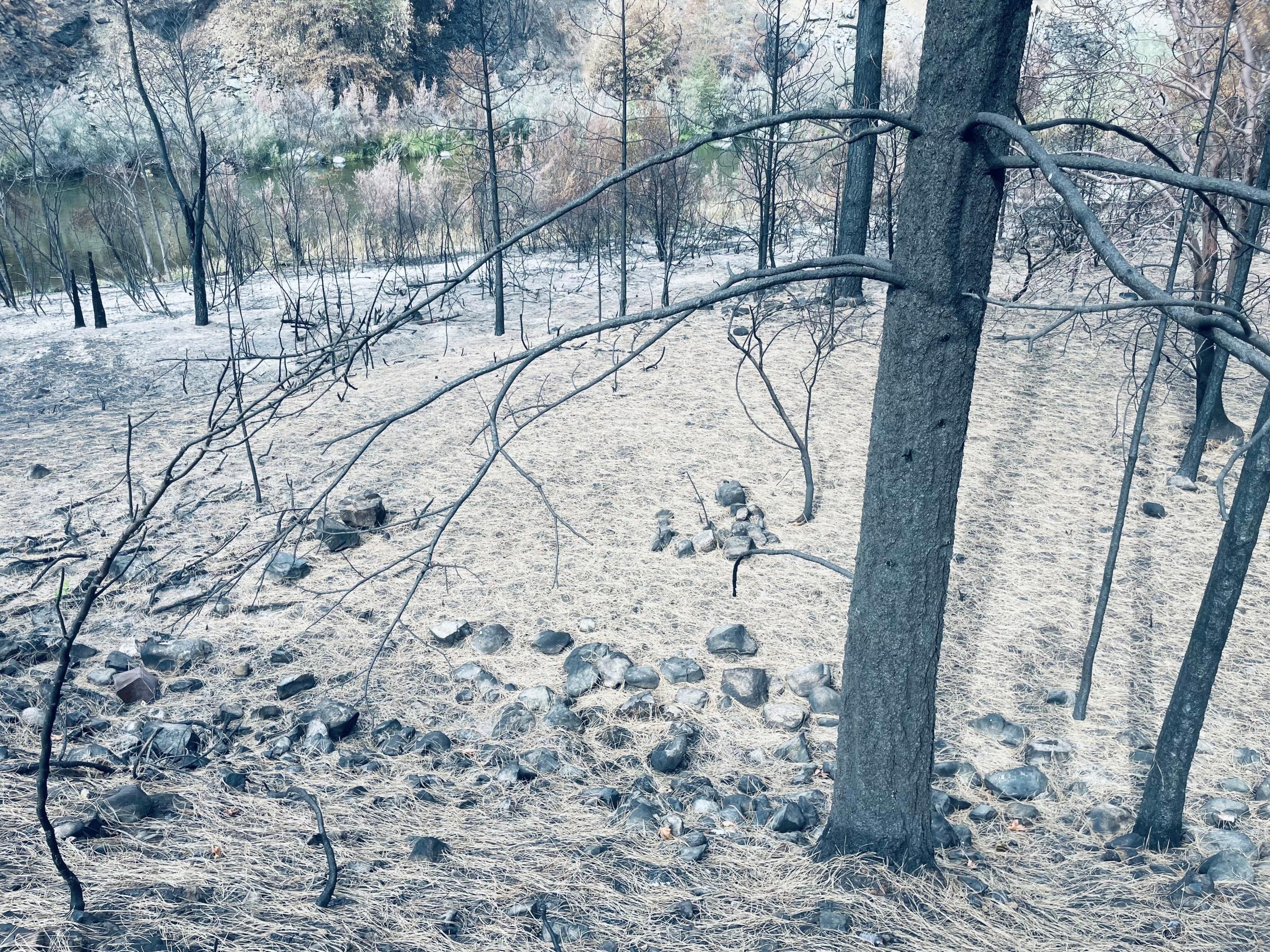 Moderate Soil Burn Severity Burned Area with Needle Cast along Scott River