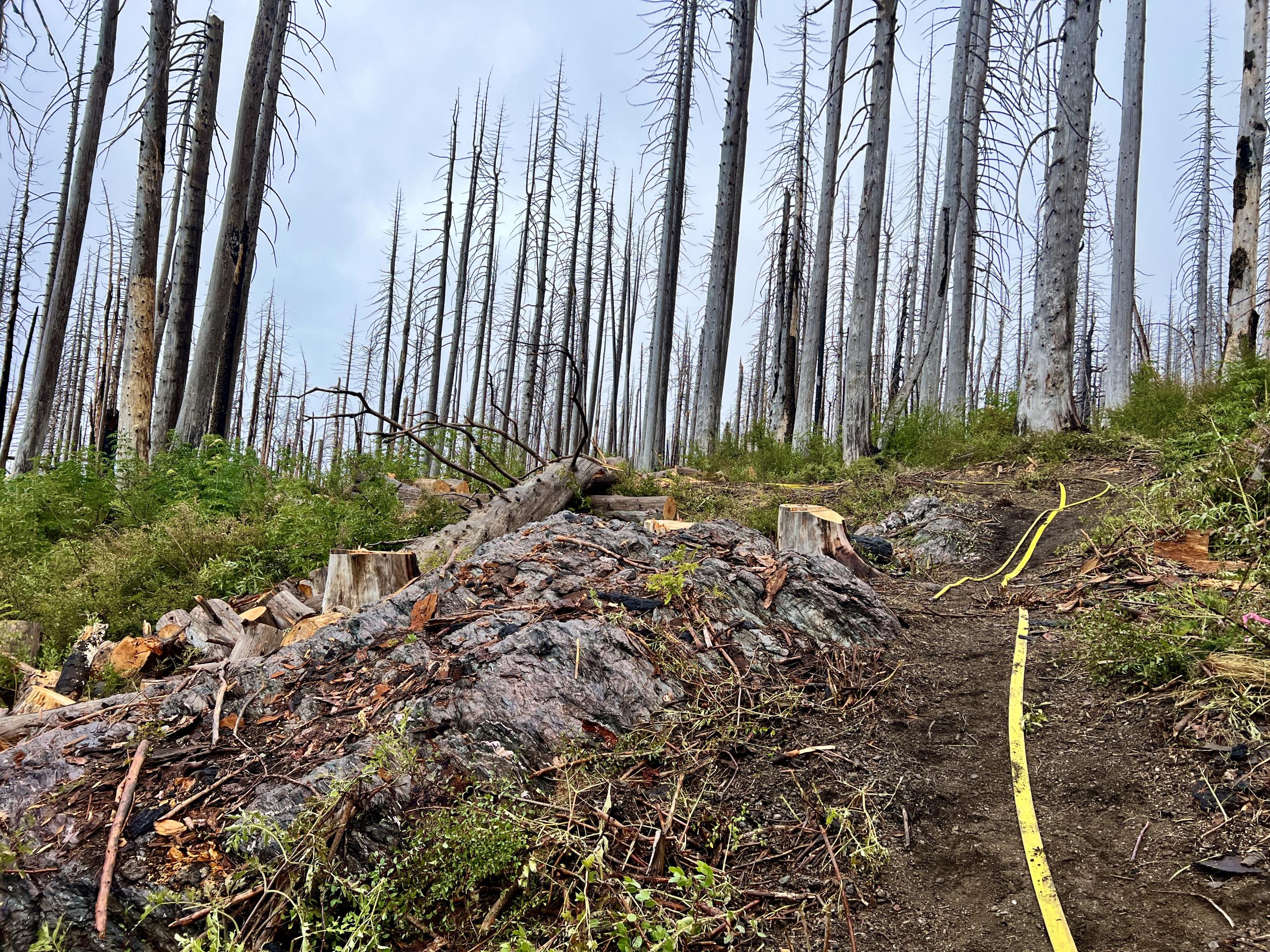 Hose laying along a control line