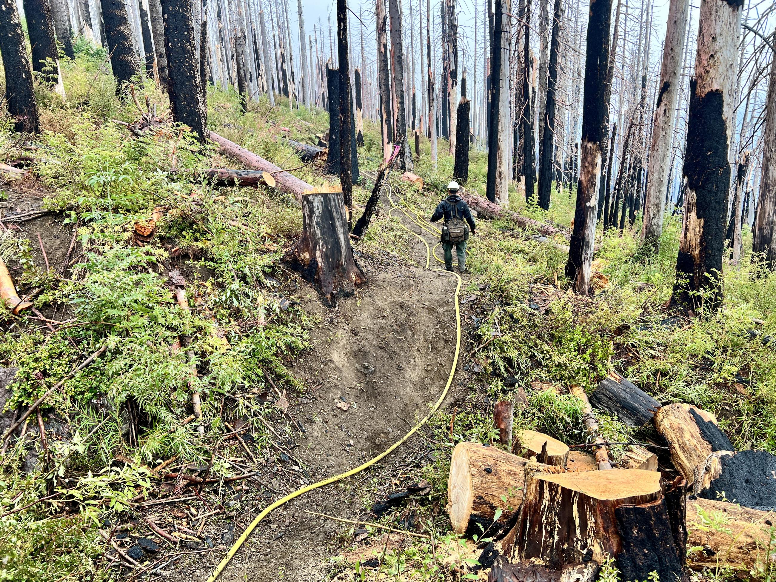 Firefighter walking hand line with hoselay