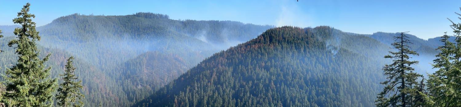 Brice Creek Fire