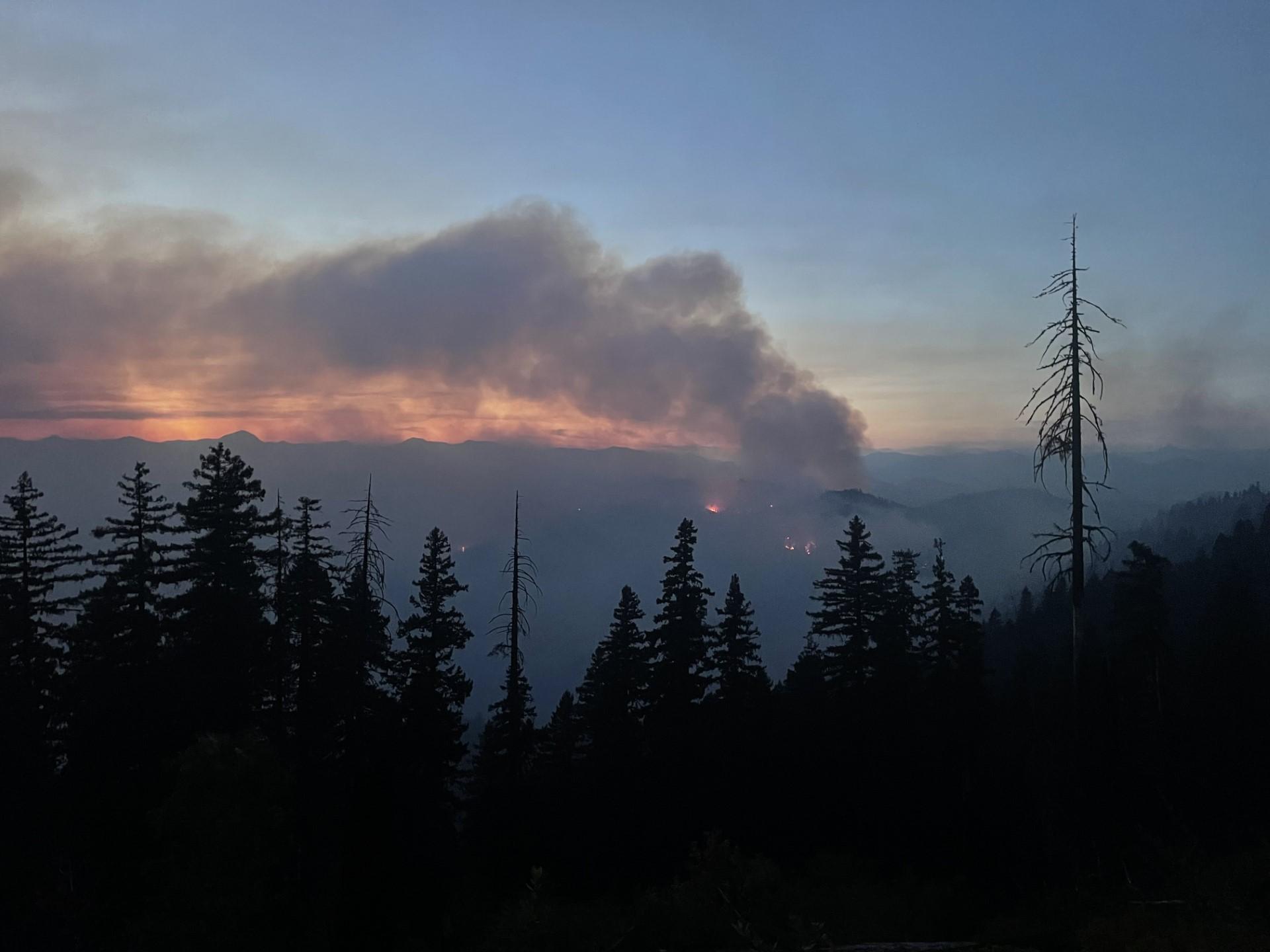 Image of a smoke plume at sunset over the Ufish Fire. Photo USDA Forest Service courtesy Shane McCann