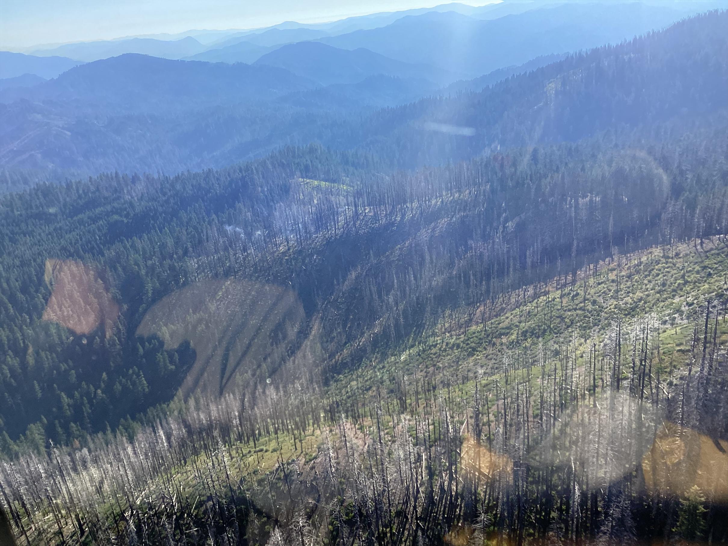 A mountainous landscape marked by areas of burned trees 