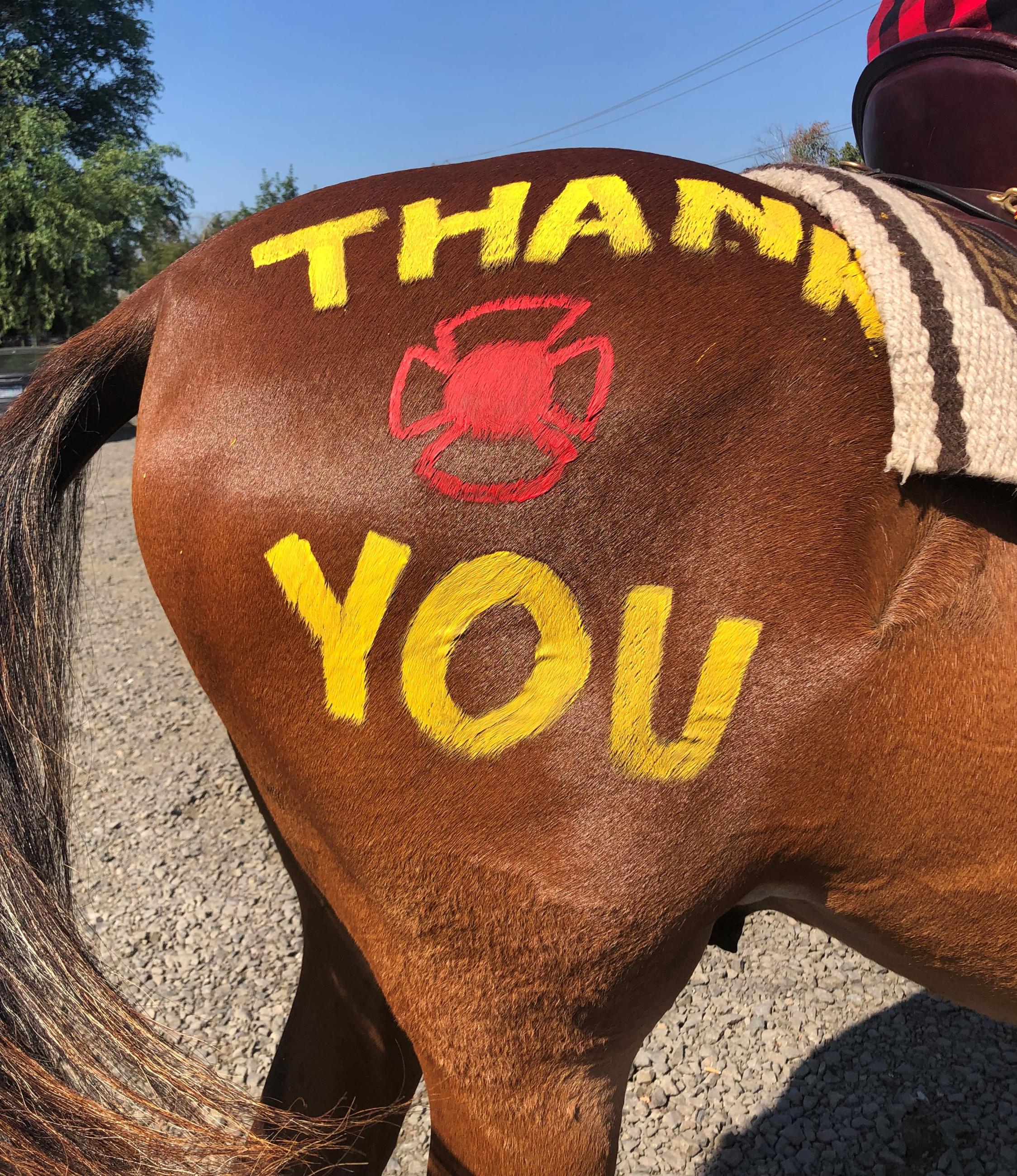 Horse with thank you written on its back leg