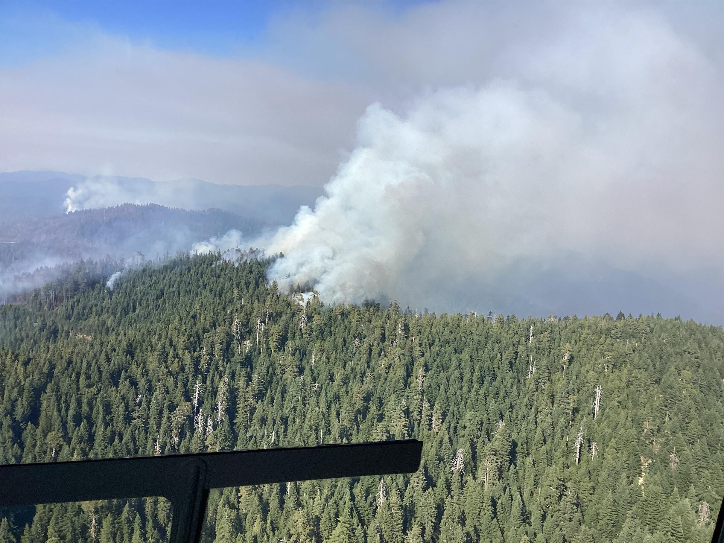 Smoke Columns seen from the air rising from the forest