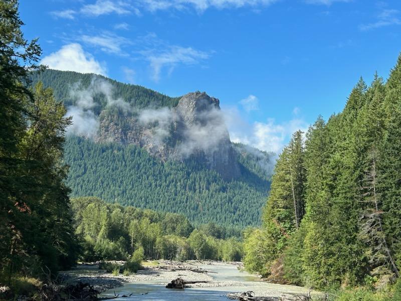 A picture of the forest with blue skies and light low lying clouds above the river in the Cowlitz Complex 
