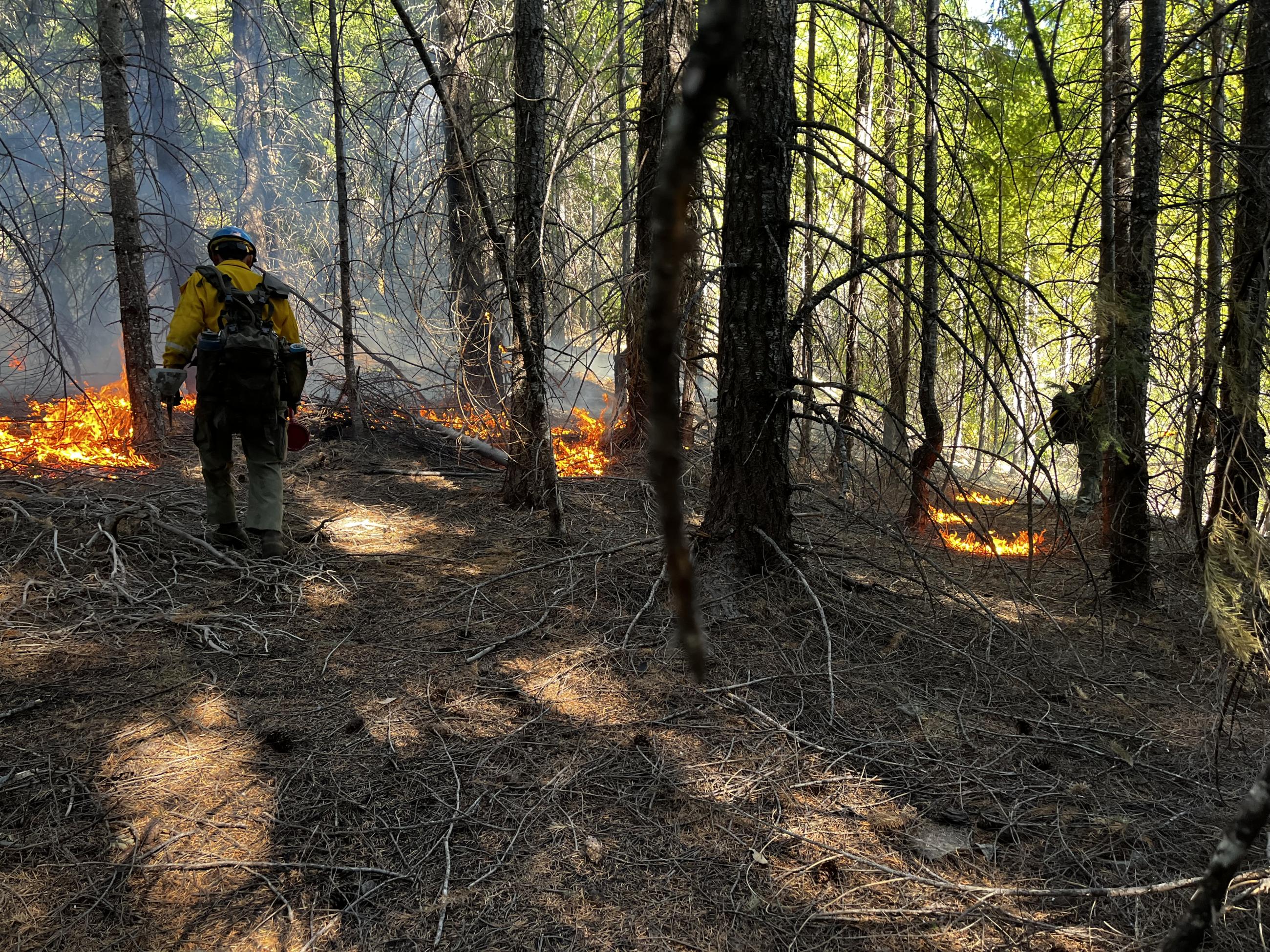 Sierra HotShots Conducting Burning Operations on Elliot Fire 