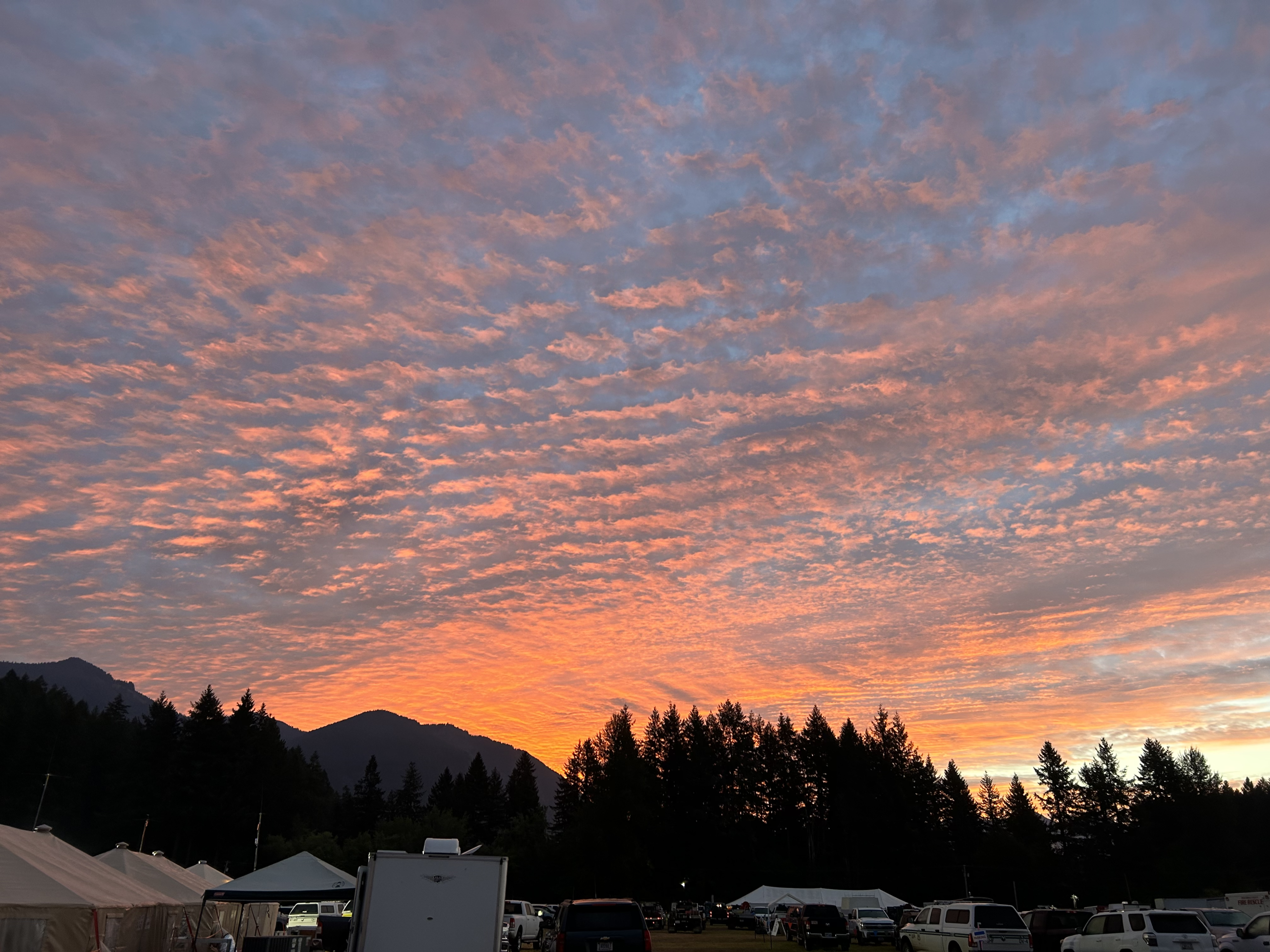 Sunrise from ICP over the trees with light clouds and hints of orange in the sky